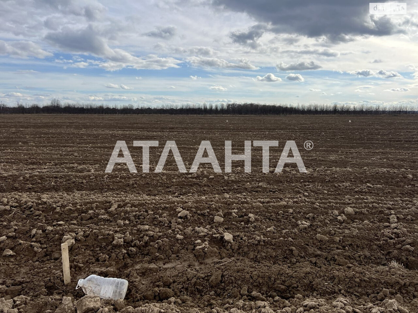 Земельна ділянка сільськогосподарського призначення в Якушинцях, площа 10 соток фото 2 Земельна ділянка сільськогосподарського призначення в Якушинцях, площа 10 соток фото 2