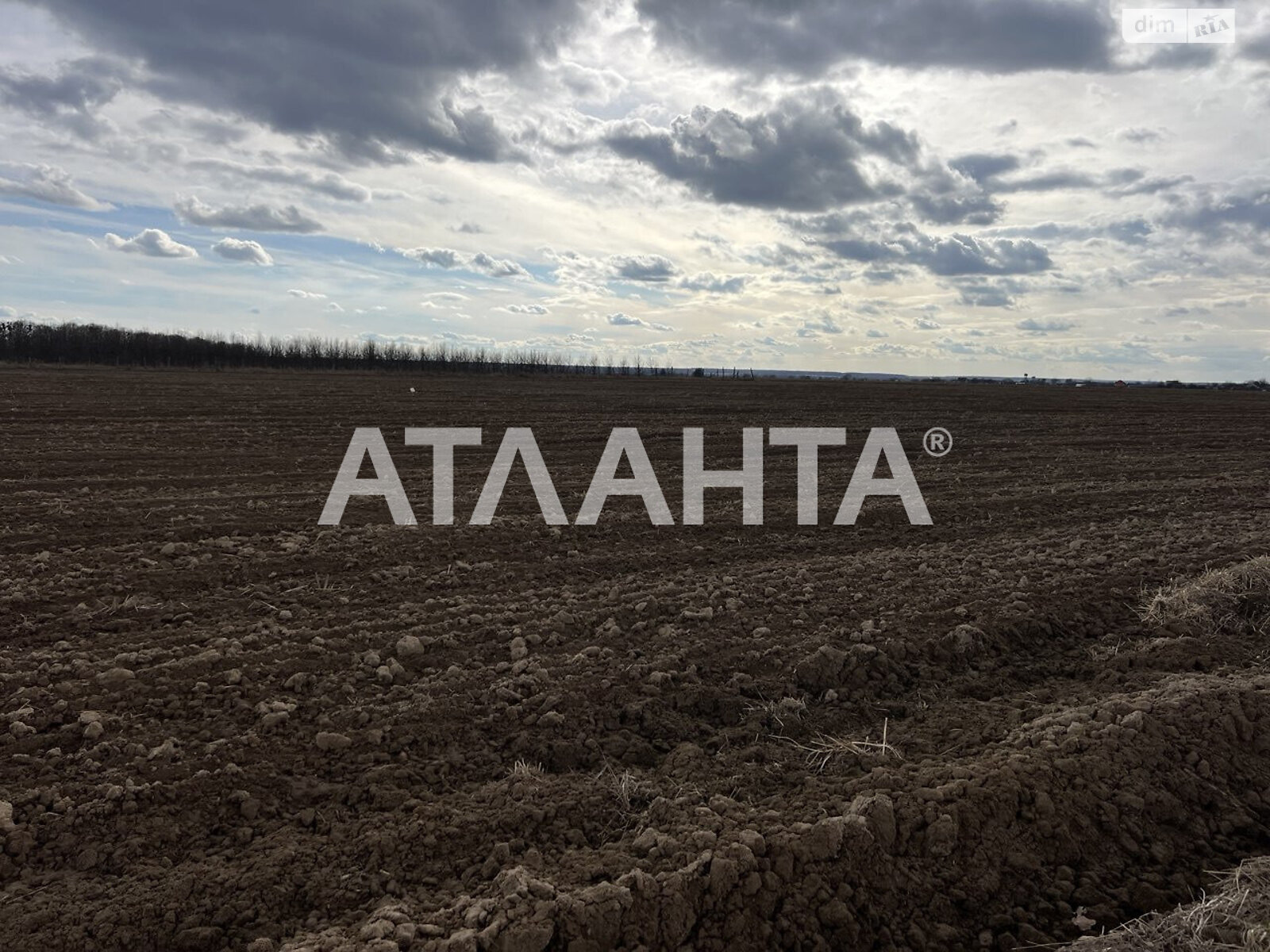 Земельна ділянка сільськогосподарського призначення в Якушинцях, площа 10 соток фото 2 Земельна ділянка сільськогосподарського призначення в Якушинцях, площа 10 соток фото 2