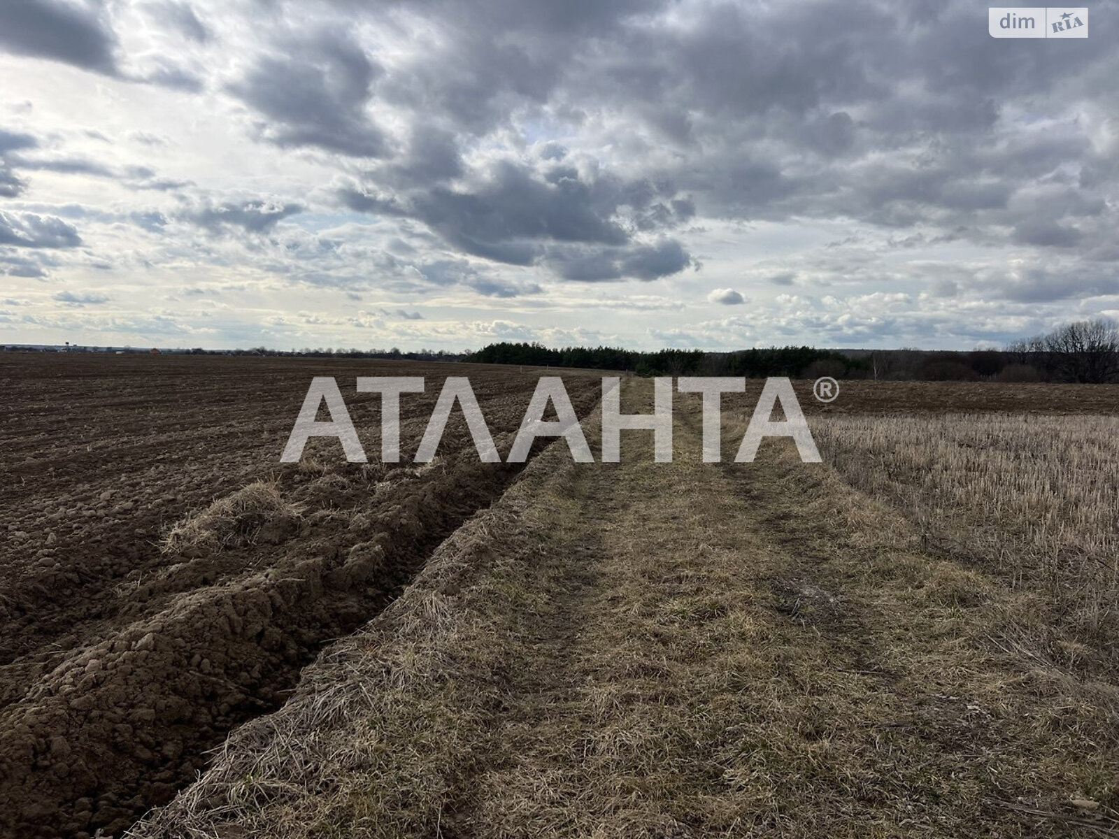 Земельна ділянка сільськогосподарського призначення в Якушинцях, площа 10 соток фото 2 Земельна ділянка сільськогосподарського призначення в Якушинцях, площа 10 соток фото 2