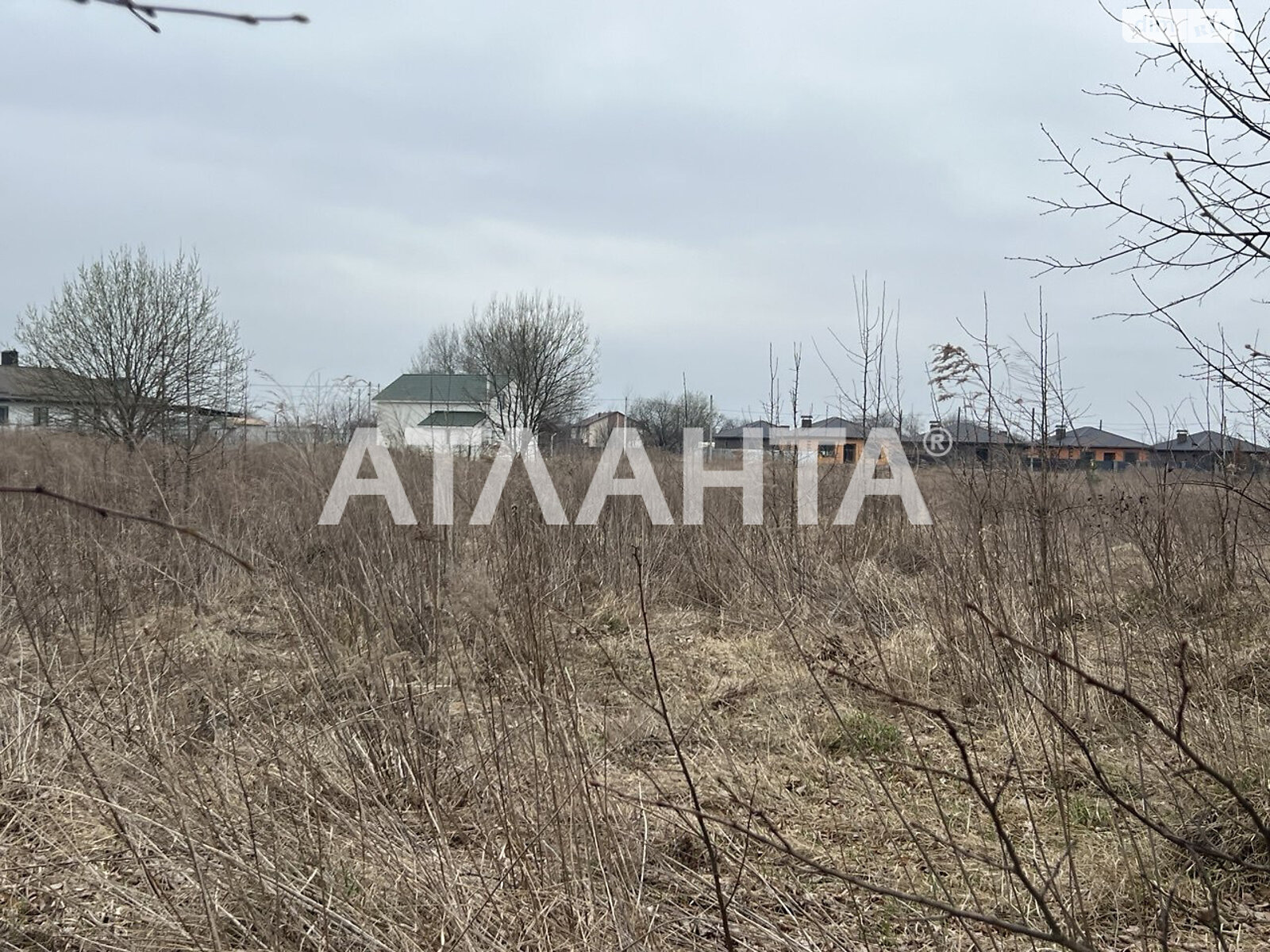 Земельный участок сельскохозяйственного назначения в Якушинцах, площадь 20 соток фото 2 Земельный участок сельскохозяйственного назначения в Якушинцах, площадь 20 соток фото 2