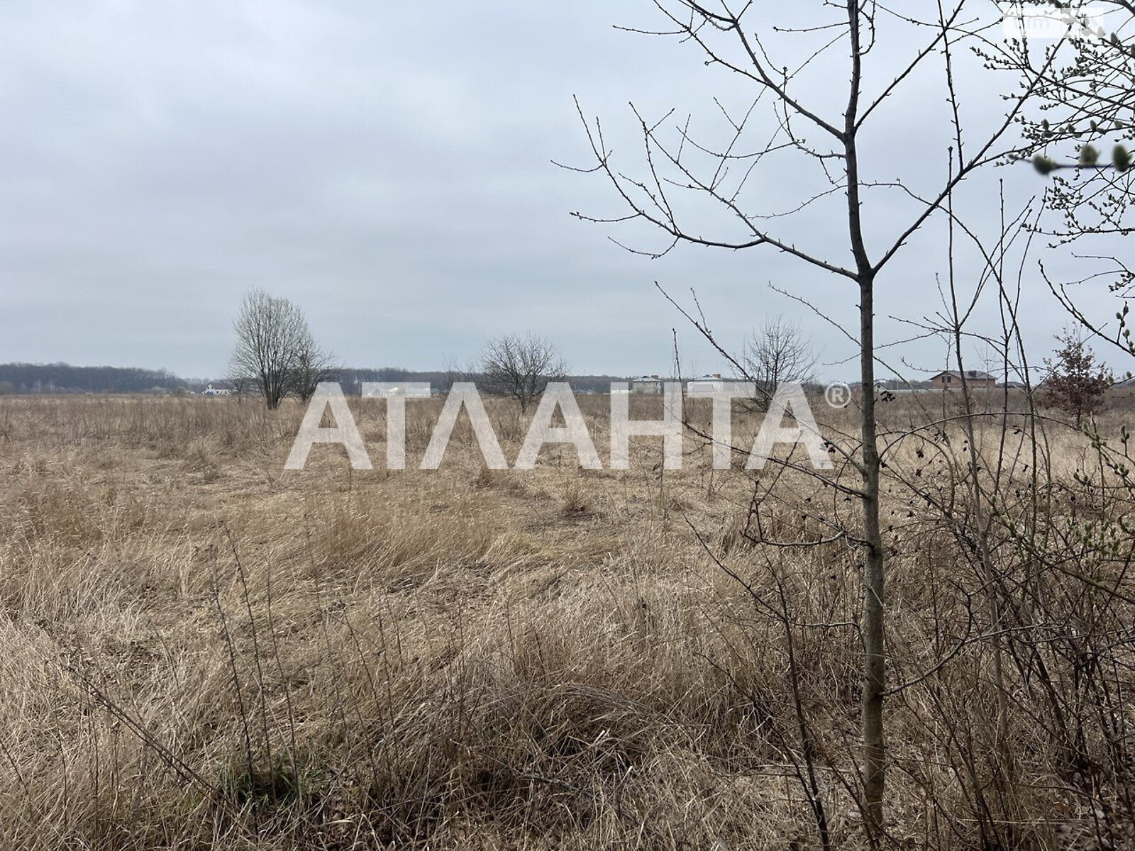 Земельный участок сельскохозяйственного назначения в Якушинцах, площадь 20 соток фото 2 Земельный участок сельскохозяйственного назначения в Якушинцах, площадь 20 соток фото 2