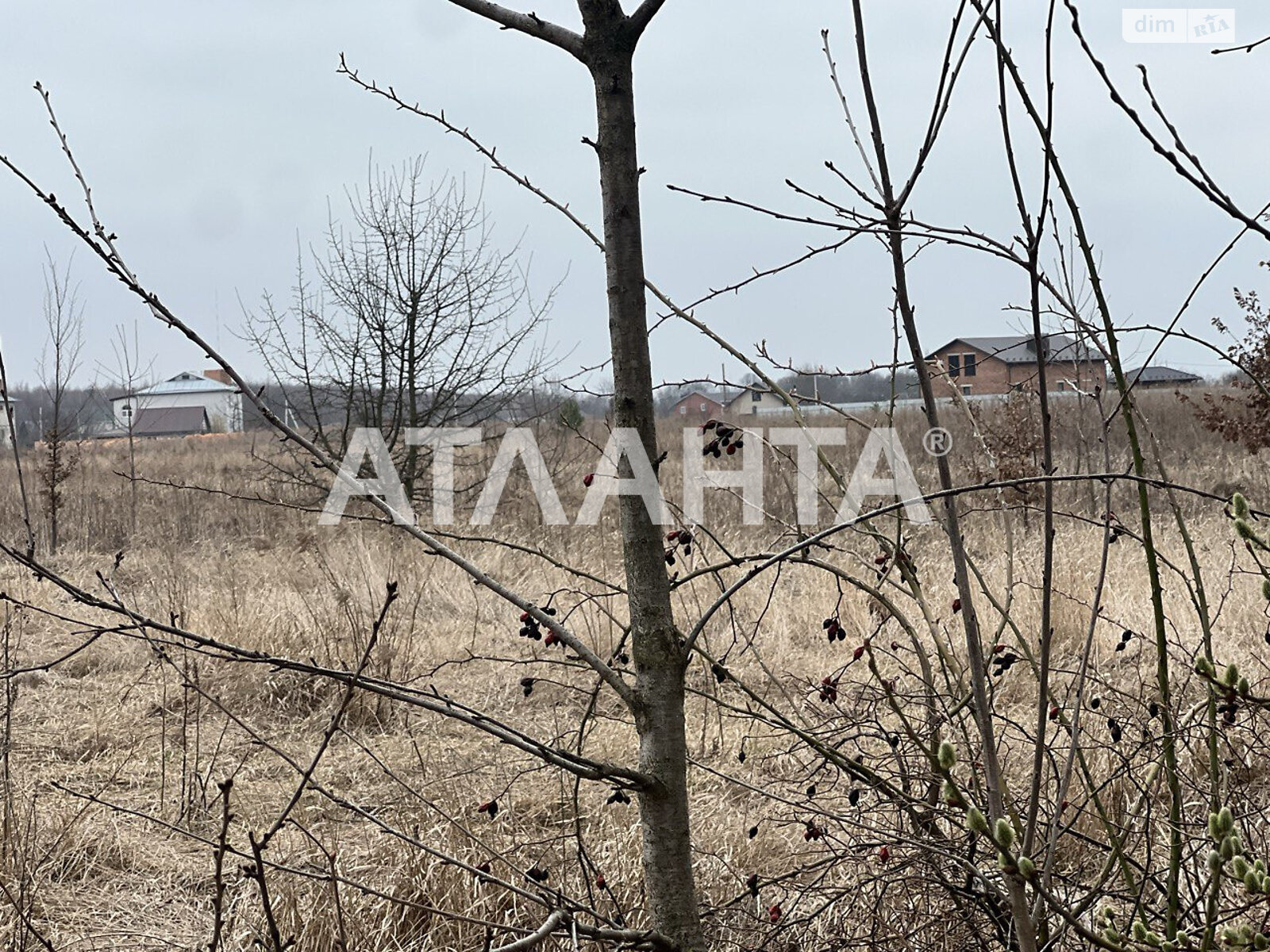 Земельный участок сельскохозяйственного назначения в Якушинцах, площадь 20 соток фото 2 Земельный участок сельскохозяйственного назначения в Якушинцах, площадь 20 соток фото 2