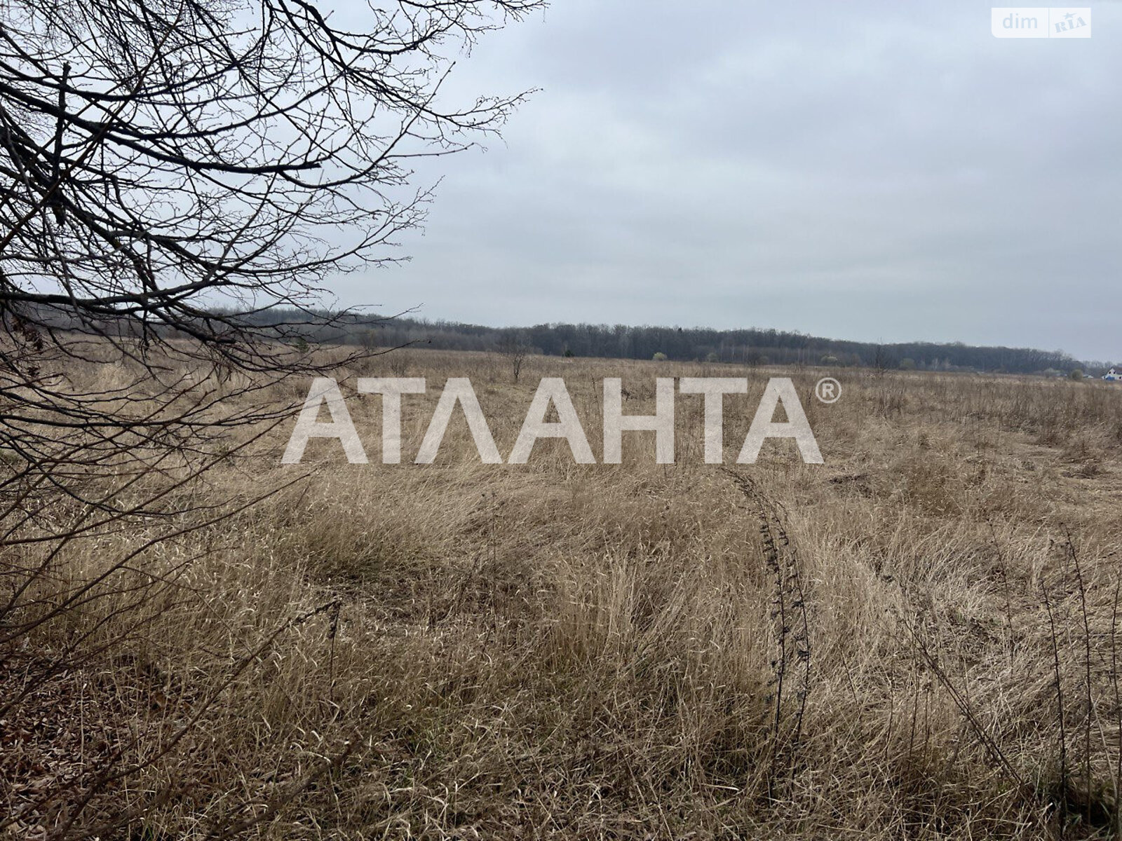 Земельный участок сельскохозяйственного назначения в Якушинцах, площадь 20 соток фото 2 Земельный участок сельскохозяйственного назначения в Якушинцах, площадь 20 соток фото 2