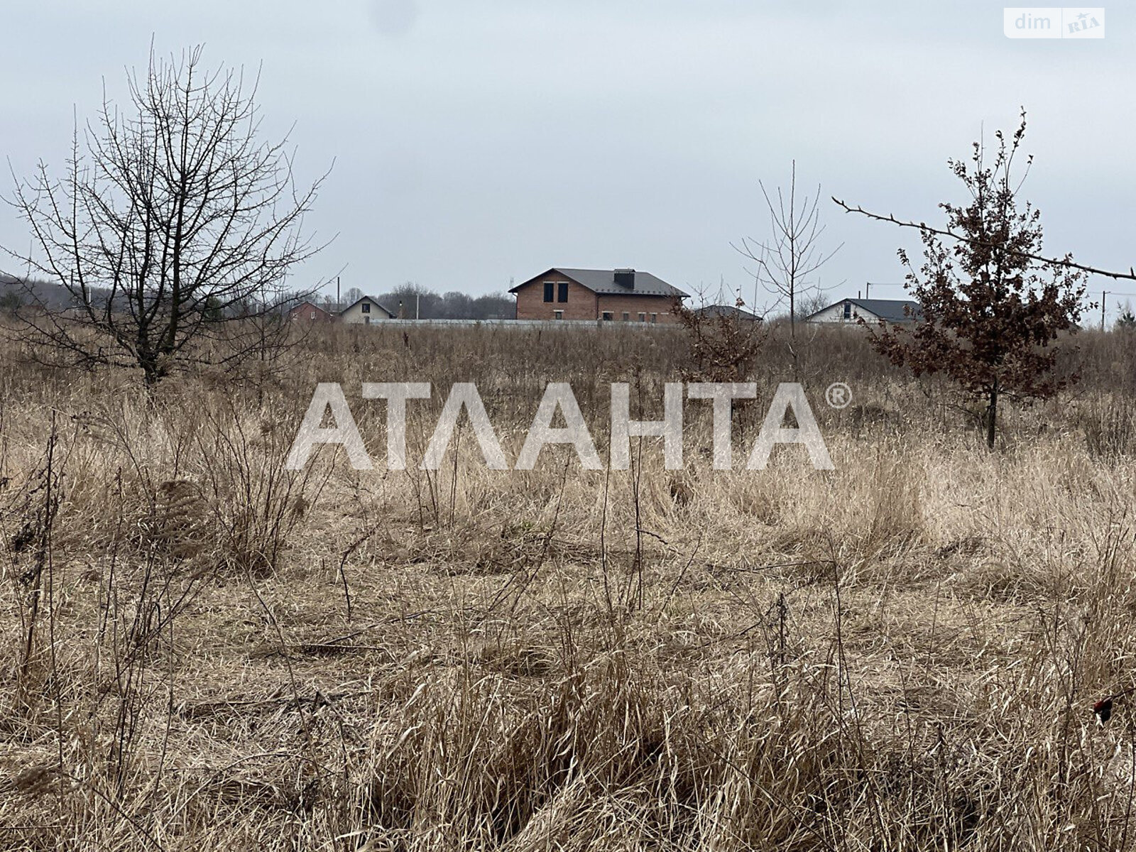 Земельный участок сельскохозяйственного назначения в Якушинцах, площадь 20 соток фото 2 Земельный участок сельскохозяйственного назначения в Якушинцах, площадь 20 соток фото 2