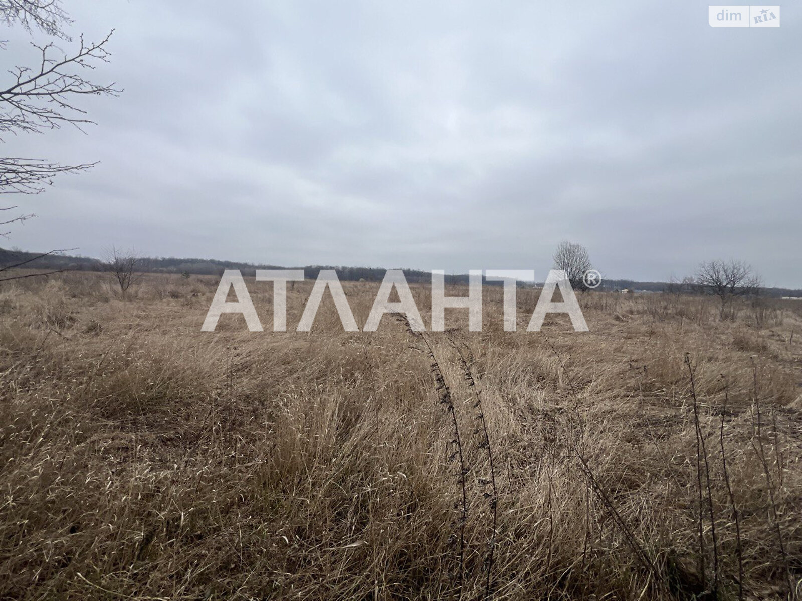 Земельный участок сельскохозяйственного назначения в Якушинцах, площадь 20 соток фото 2 Земельный участок сельскохозяйственного назначения в Якушинцах, площадь 20 соток фото 2