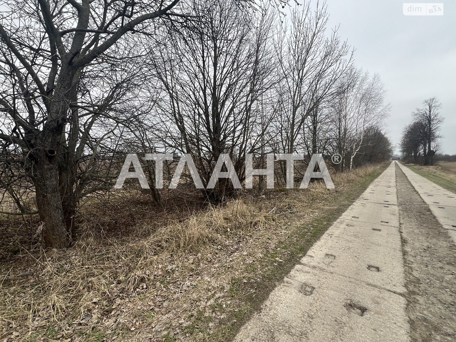 Земельный участок сельскохозяйственного назначения в Якушинцах, площадь 20 соток фото 2 Земельный участок сельскохозяйственного назначения в Якушинцах, площадь 20 соток фото 2