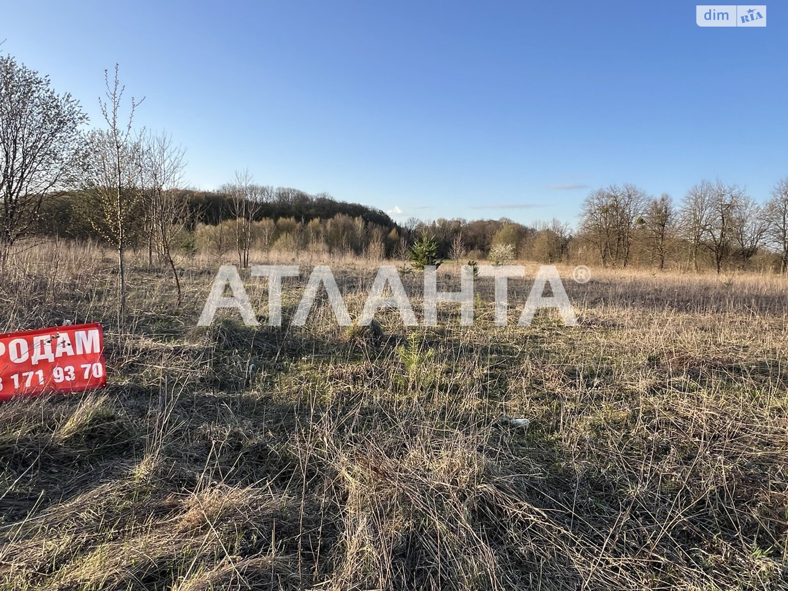 Земельный участок сельскохозяйственного назначения в Якушинцах, площадь 10 соток фото 1 Земельный участок сельскохозяйственного назначения в Якушинцах, площадь 10 соток фото 1