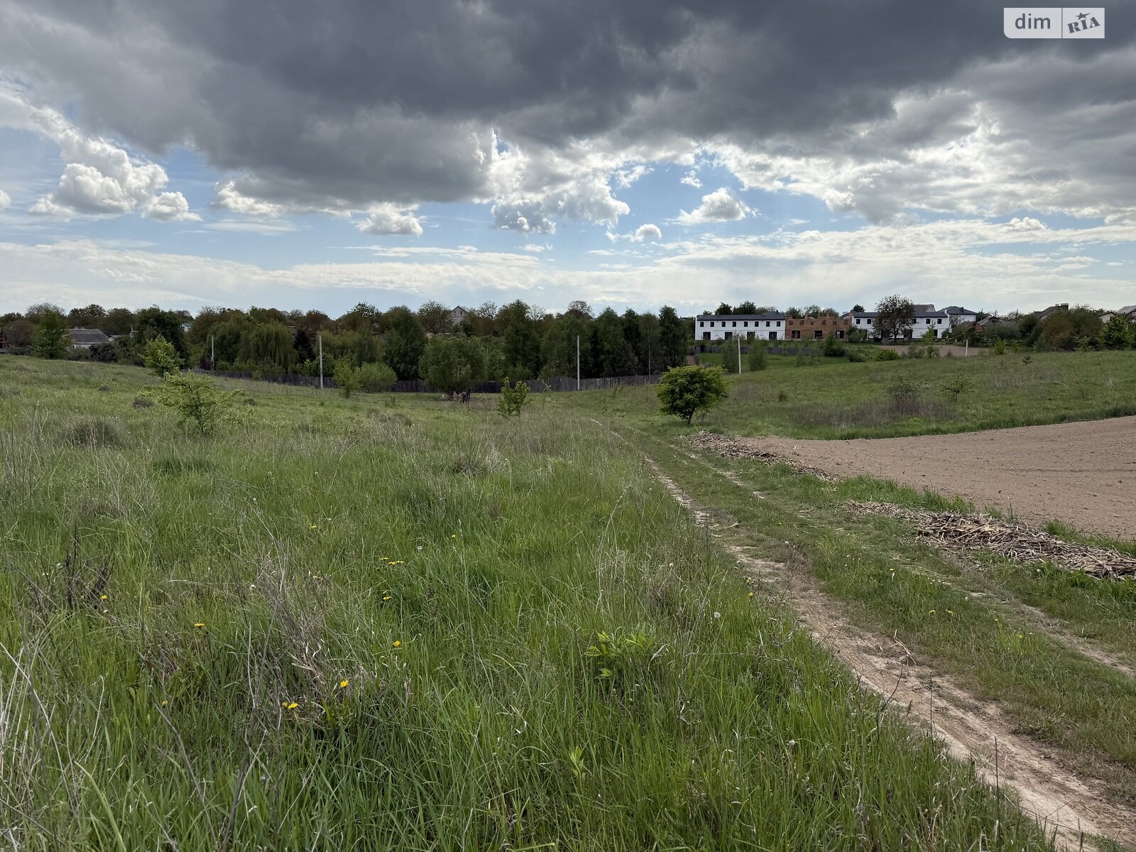 Земельна ділянка сільськогосподарського призначення в Якушинцях, площа 20 соток фото 1 Земельна ділянка сільськогосподарського призначення в Якушинцях, площа 20 соток фото 1