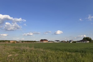 Земельна ділянка сільськогосподарського призначення в Якушинцях, площа 20 соток фото 2