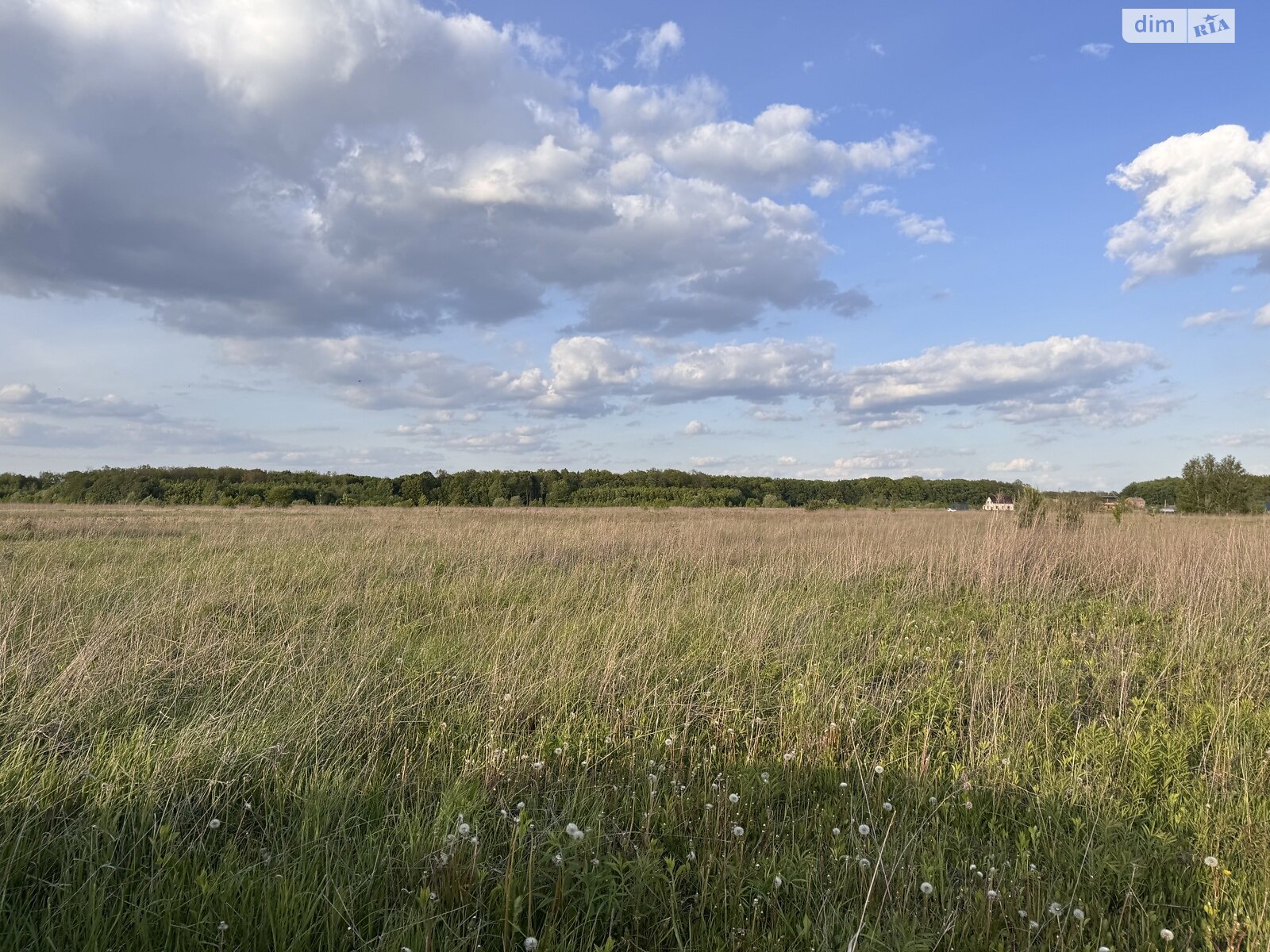 Земельна ділянка сільськогосподарського призначення в Якушинцях, площа 20 соток фото 1 Земельна ділянка сільськогосподарського призначення в Якушинцях, площа 20 соток фото 1