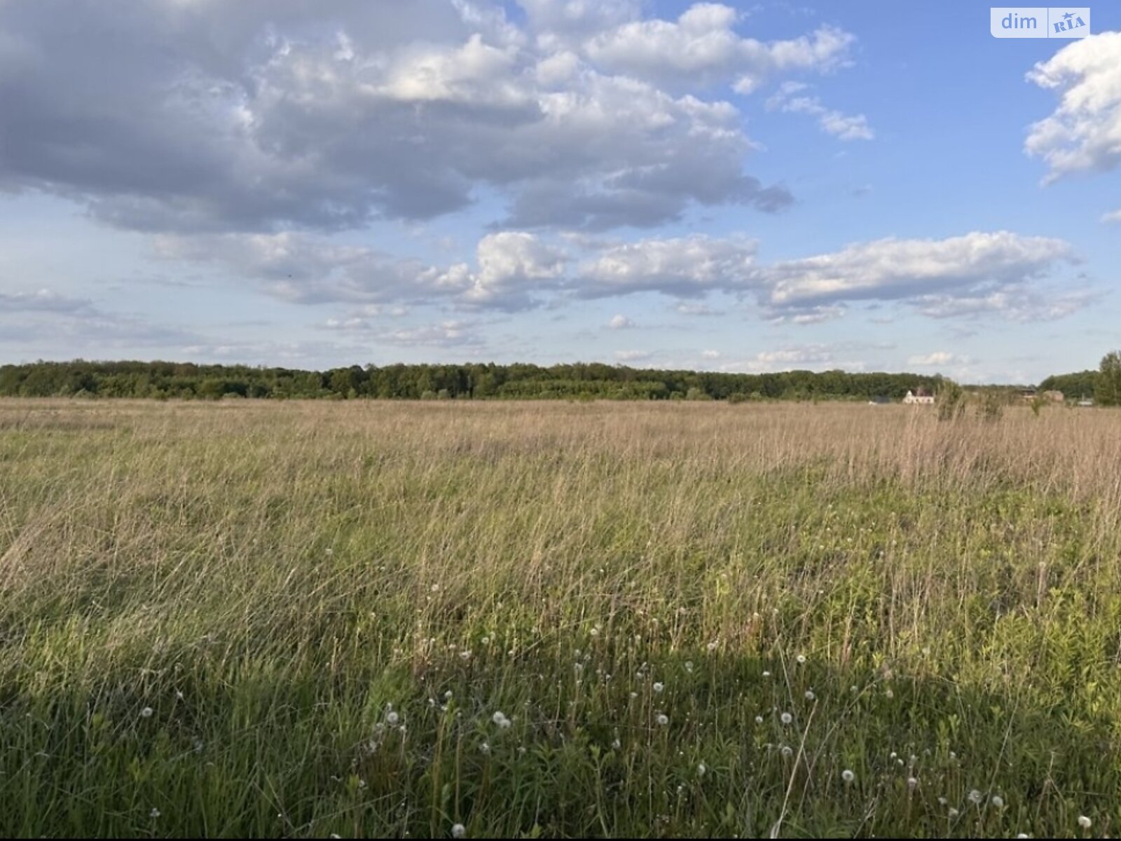 Земельна ділянка сільськогосподарського призначення в Якушинцях, площа 2.3586 Га фото 1 Земельна ділянка сільськогосподарського призначення в Якушинцях, площа 2.3586 Га фото 1