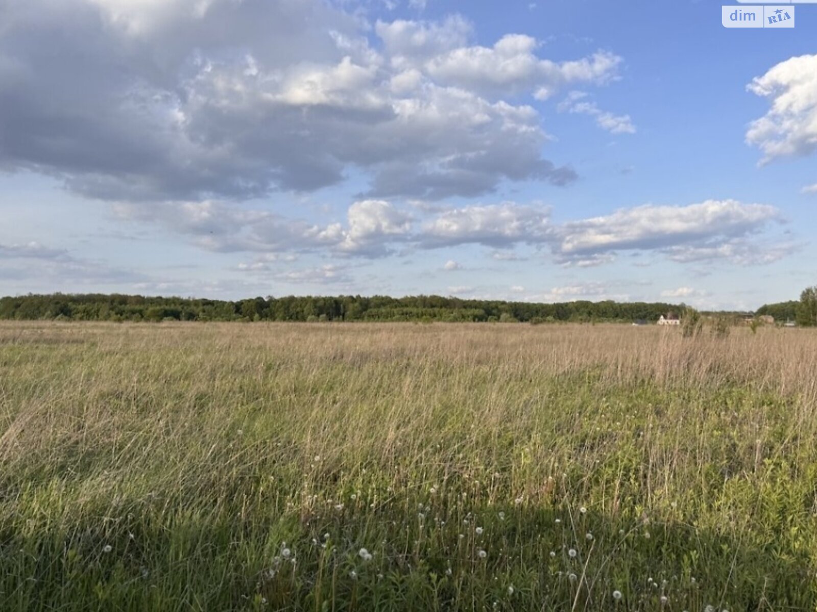 Земельна ділянка сільськогосподарського призначення в Якушинцях, площа 2.3586 Га фото 1 Земельна ділянка сільськогосподарського призначення в Якушинцях, площа 2.3586 Га фото 1