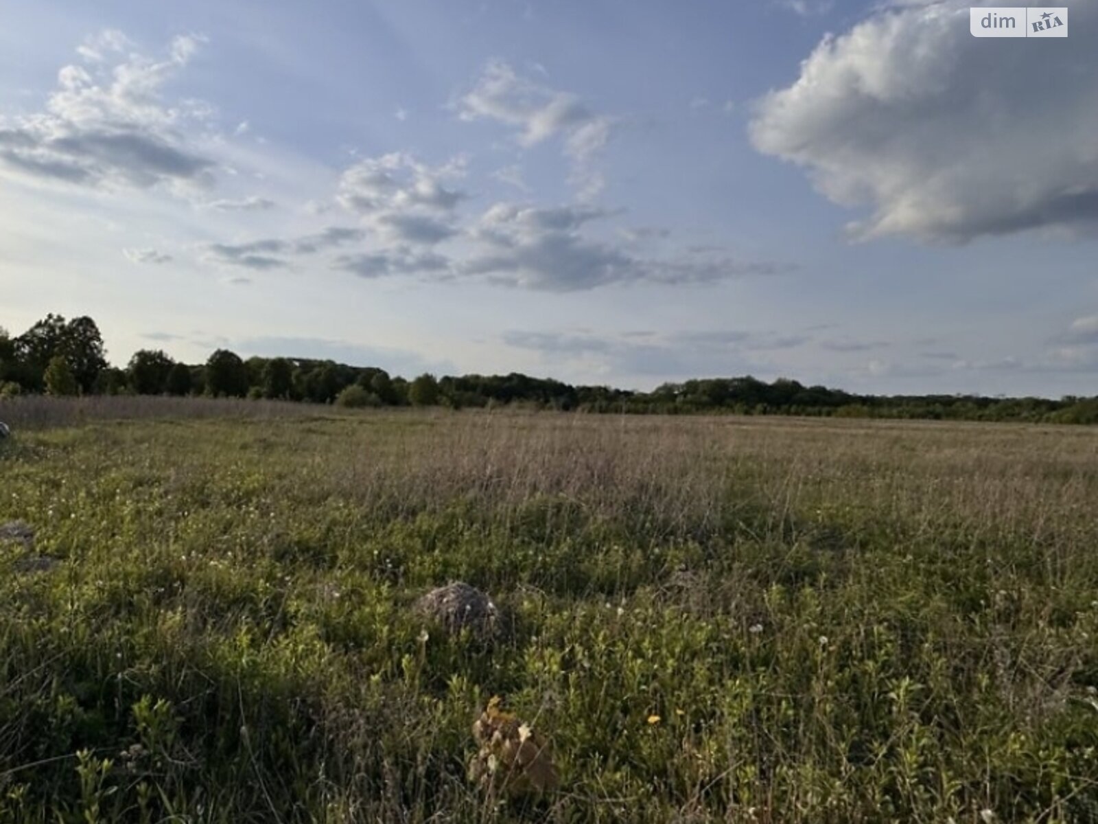 Земельна ділянка сільськогосподарського призначення в Якушинцях, площа 2.3586 Га фото 1 Земельна ділянка сільськогосподарського призначення в Якушинцях, площа 2.3586 Га фото 1