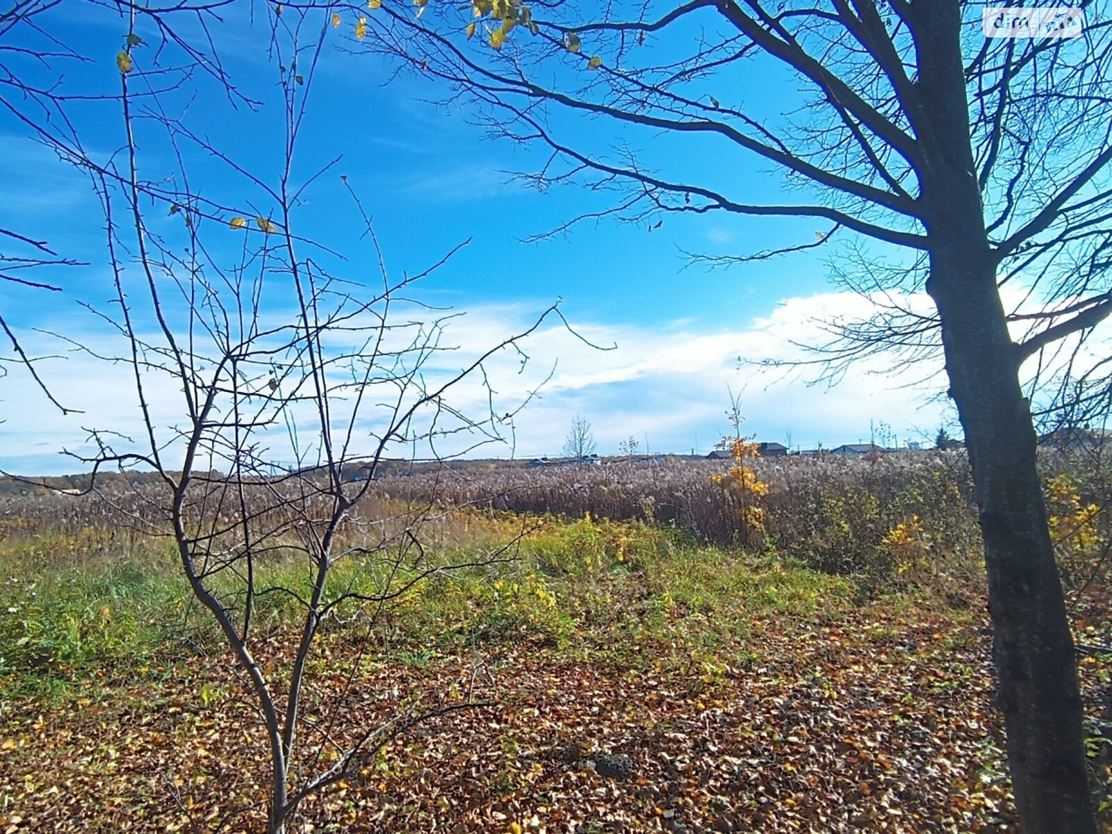 Земельна ділянка сільськогосподарського призначення в Якушинцях, площа 20 соток фото 1
