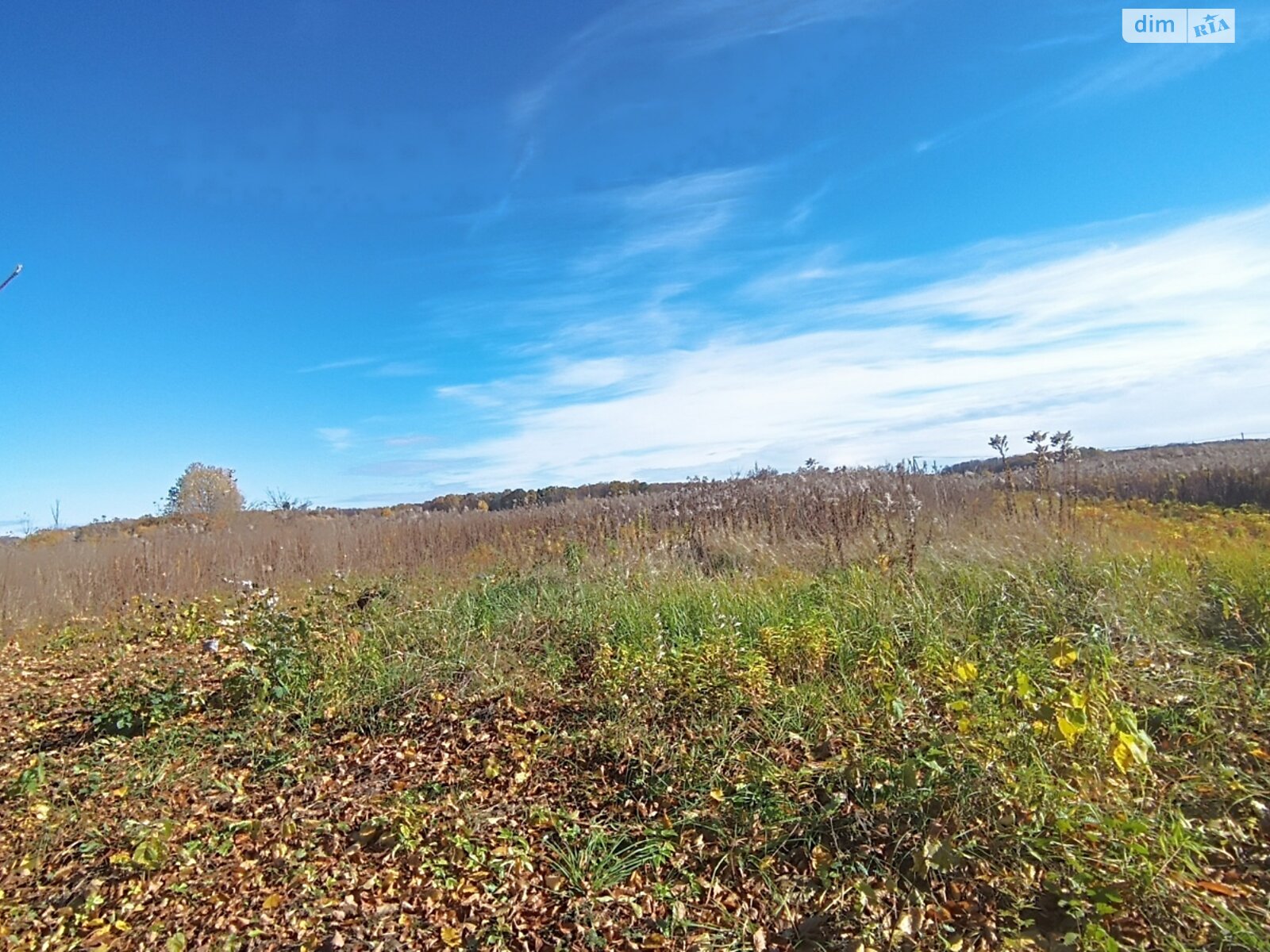 Земельна ділянка сільськогосподарського призначення в Якушинцях, площа 20 соток фото 1