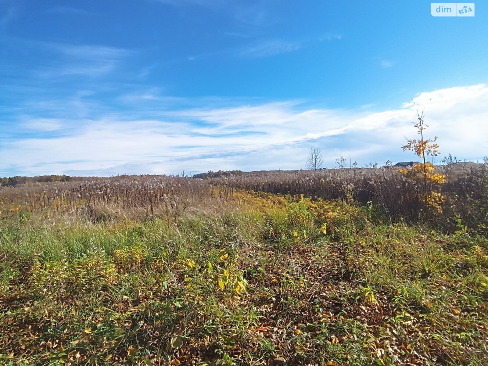 Земельна ділянка сільськогосподарського призначення в Якушинцях, площа 20 соток фото 1