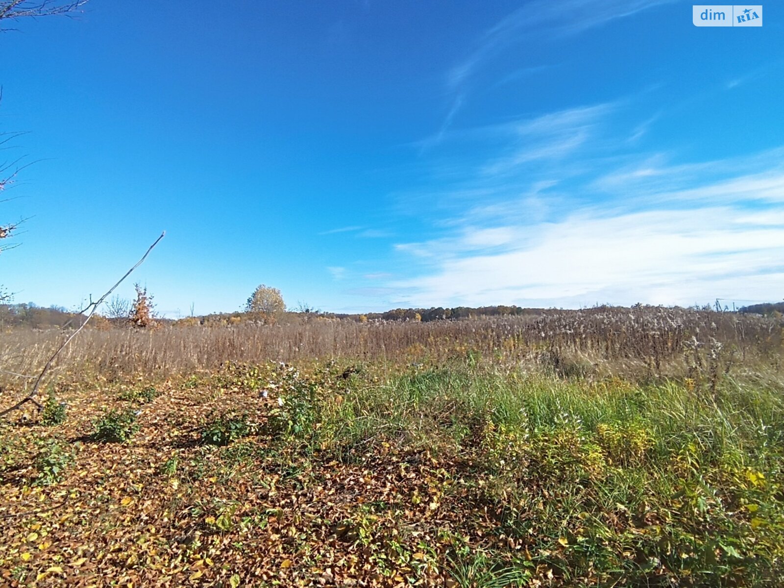 Земельна ділянка сільськогосподарського призначення в Якушинцях, площа 20 соток фото 1