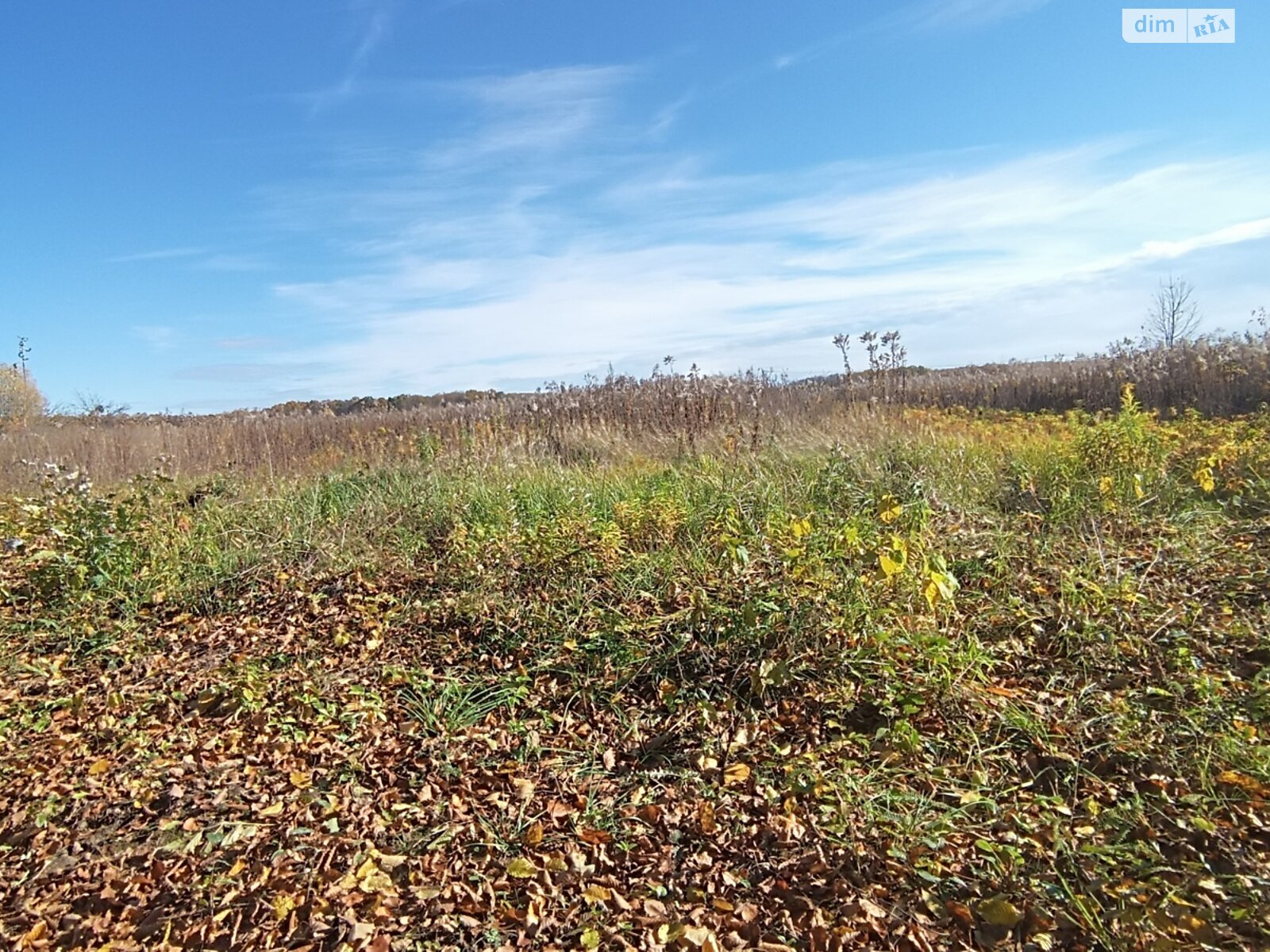 Земельна ділянка сільськогосподарського призначення в Якушинцях, площа 20 соток фото 1
