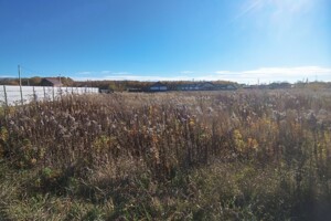 Земельна ділянка сільськогосподарського призначення в Якушинцях, площа 9 соток фото 2