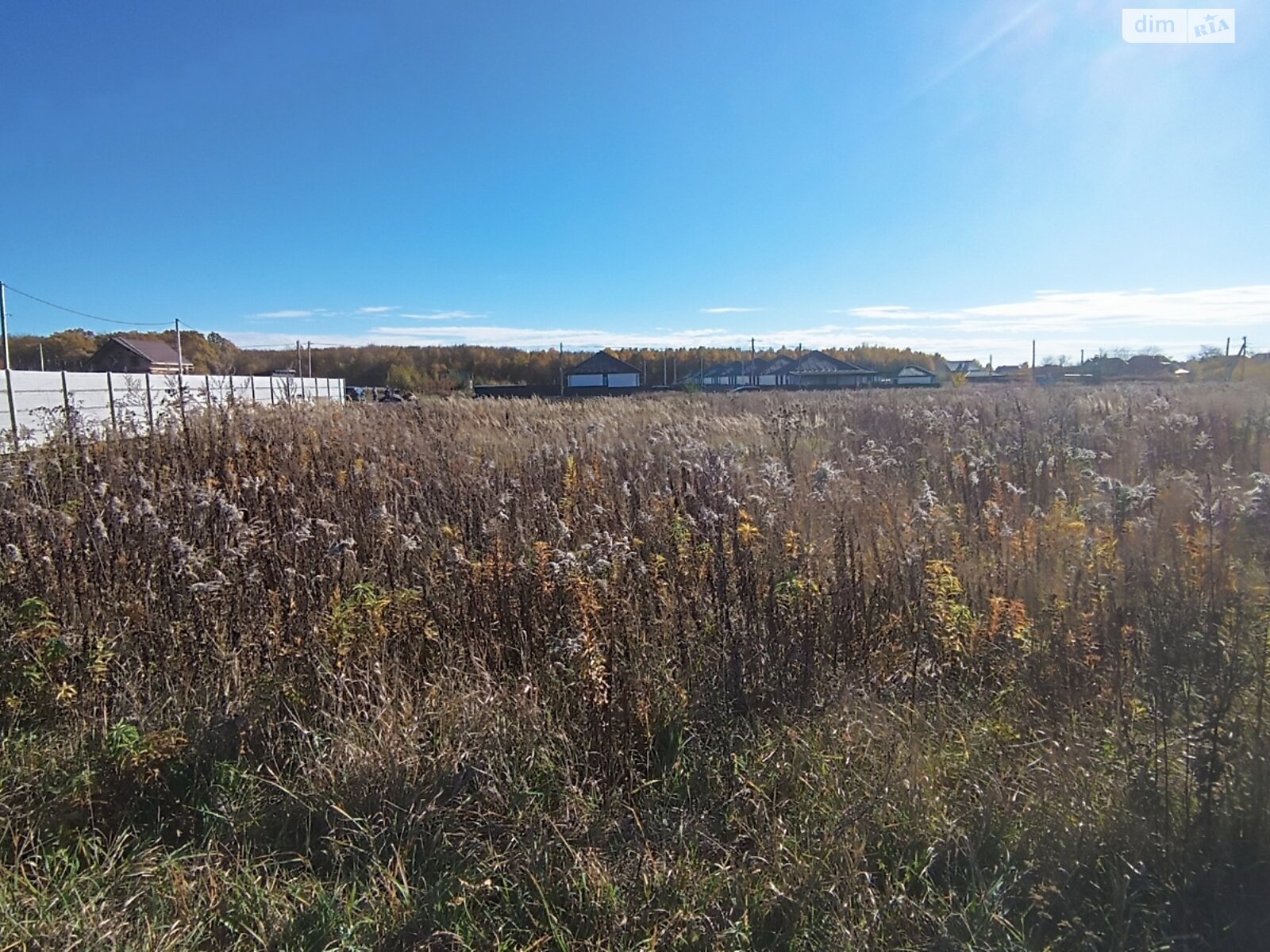 Земельна ділянка сільськогосподарського призначення в Якушинцях, площа 9 соток фото 1