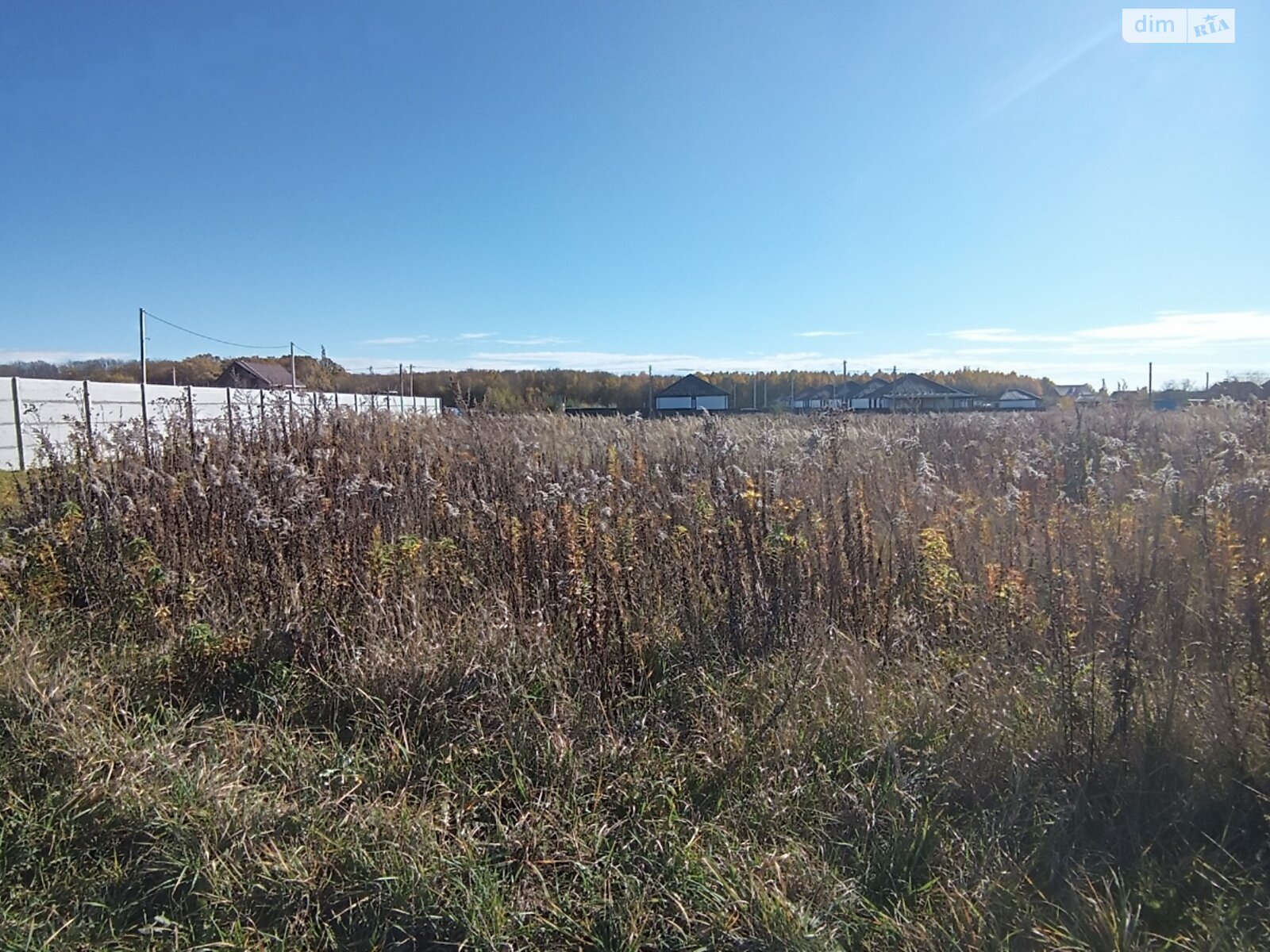 Земельна ділянка сільськогосподарського призначення в Якушинцях, площа 9 соток фото 1