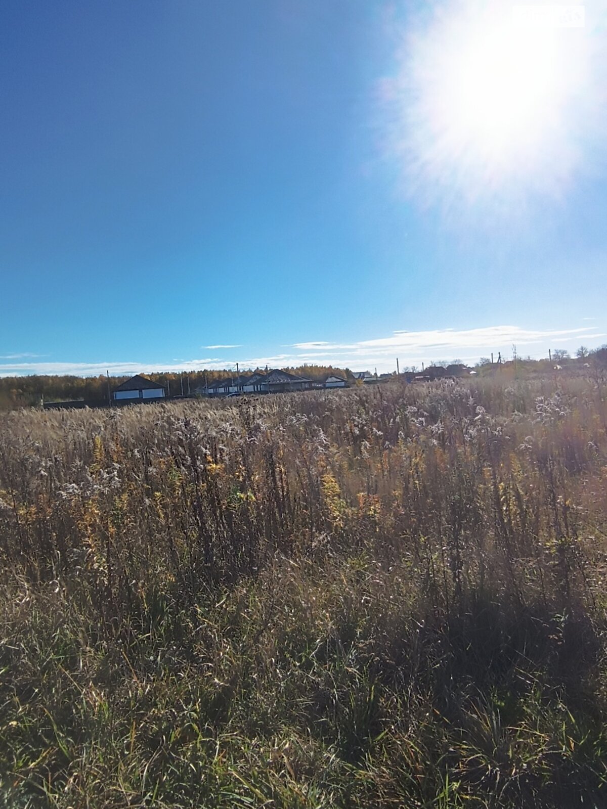 Земельна ділянка сільськогосподарського призначення в Якушинцях, площа 9 соток фото 1