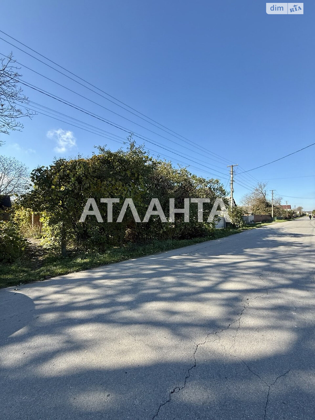 Земельный участок сельскохозяйственного назначения в Якушинцах, площадь 37 соток фото 1 Земельный участок сельскохозяйственного назначения в Якушинцах, площадь 37 соток фото 1