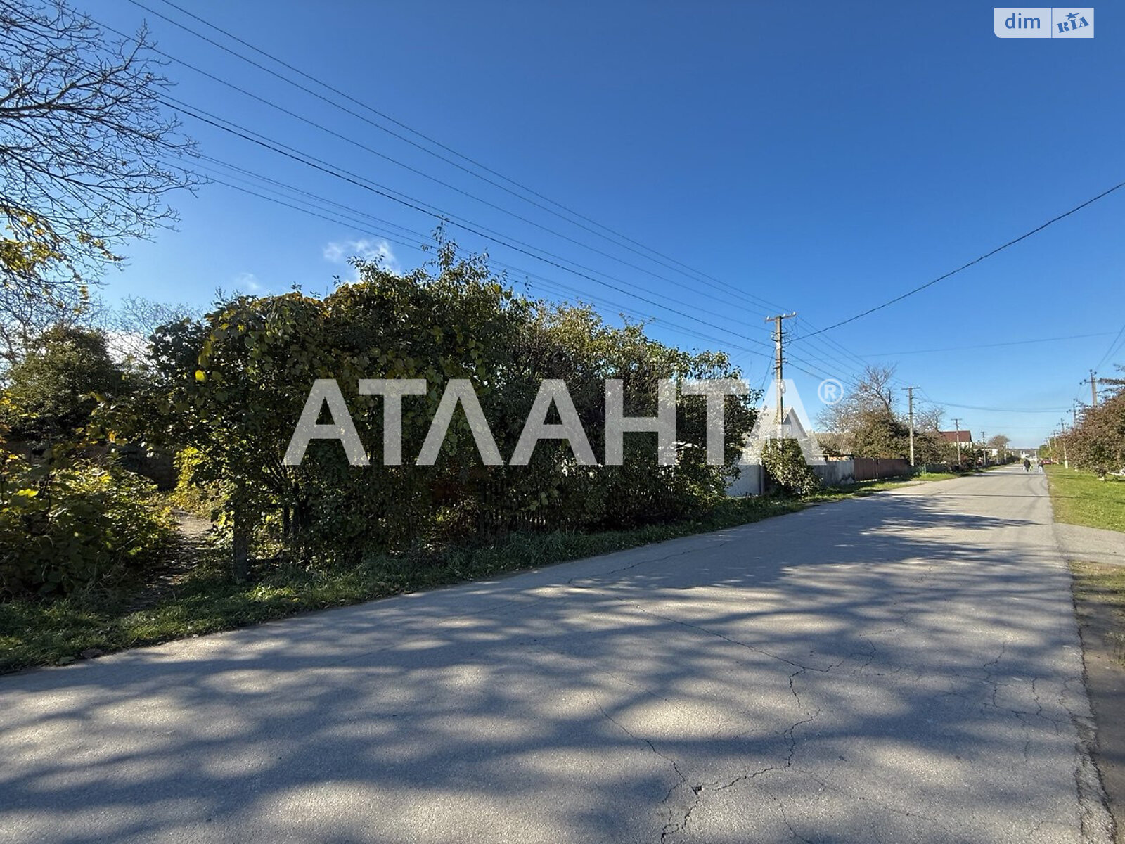 Земельный участок сельскохозяйственного назначения в Якушинцах, площадь 37 соток фото 1 Земельный участок сельскохозяйственного назначения в Якушинцах, площадь 37 соток фото 1