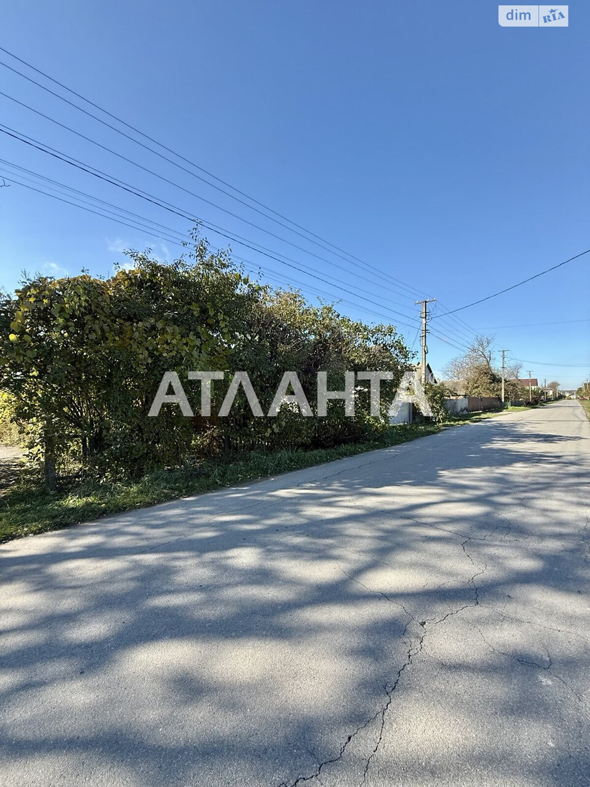 Земельный участок сельскохозяйственного назначения в Якушинцах, площадь 37 соток фото 1 Земельный участок сельскохозяйственного назначения в Якушинцах, площадь 37 соток фото 1