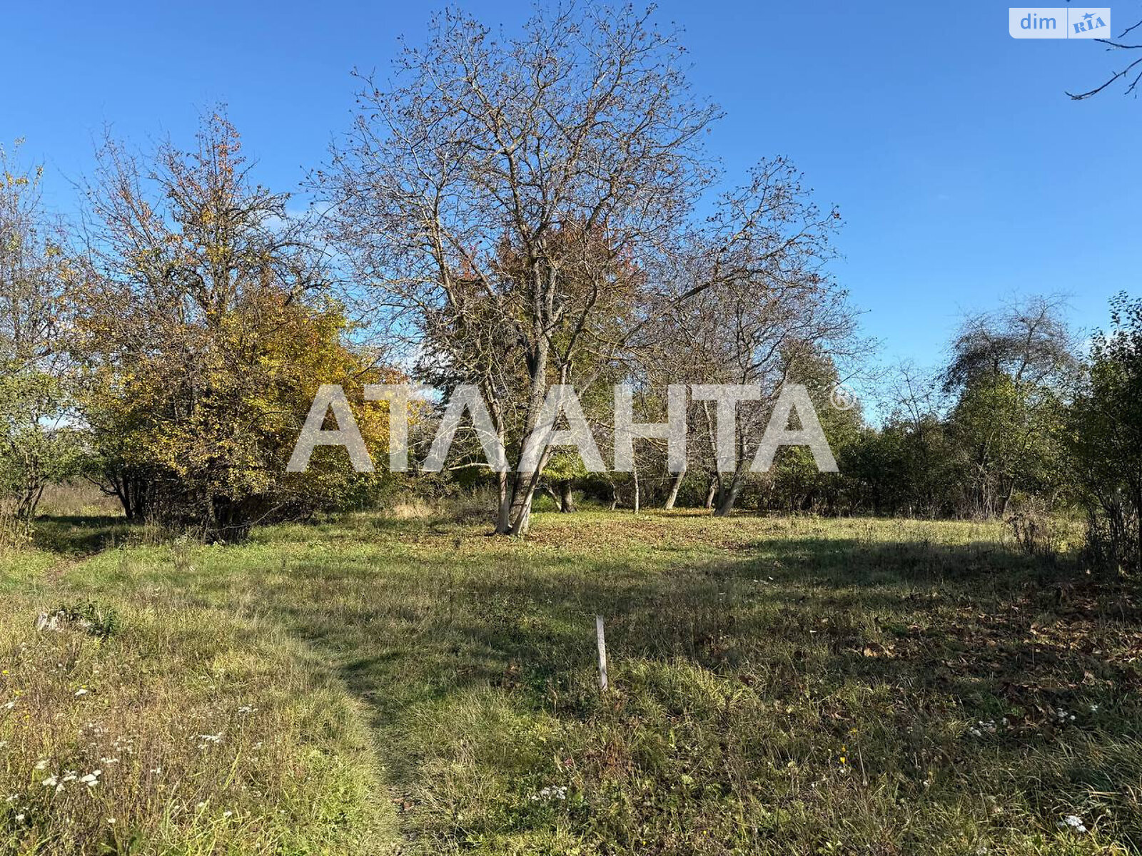 Земельный участок сельскохозяйственного назначения в Якушинцах, площадь 37 соток фото 1 Земельный участок сельскохозяйственного назначения в Якушинцах, площадь 37 соток фото 1