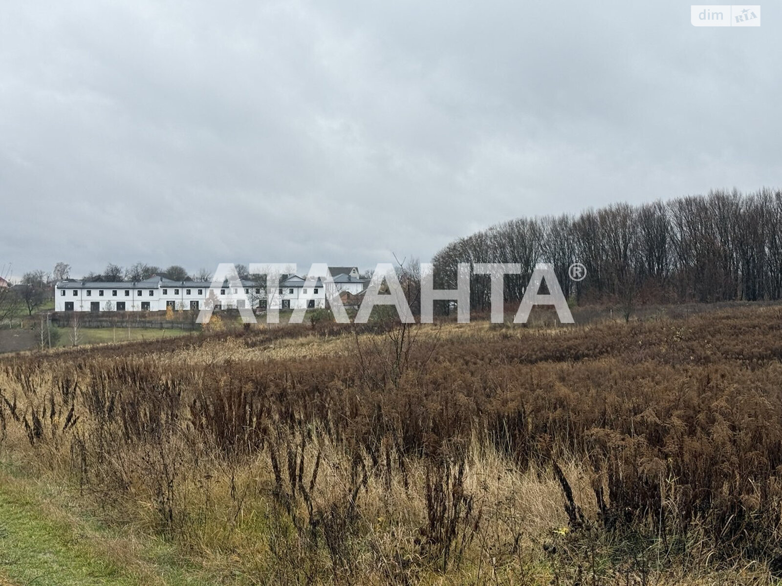 Земельный участок сельскохозяйственного назначения в Якушинцах, площадь 26.67 сотки фото 1