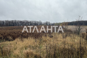 Земельный участок сельскохозяйственного назначения в Якушинцах, площадь 26.67 сотки фото 2