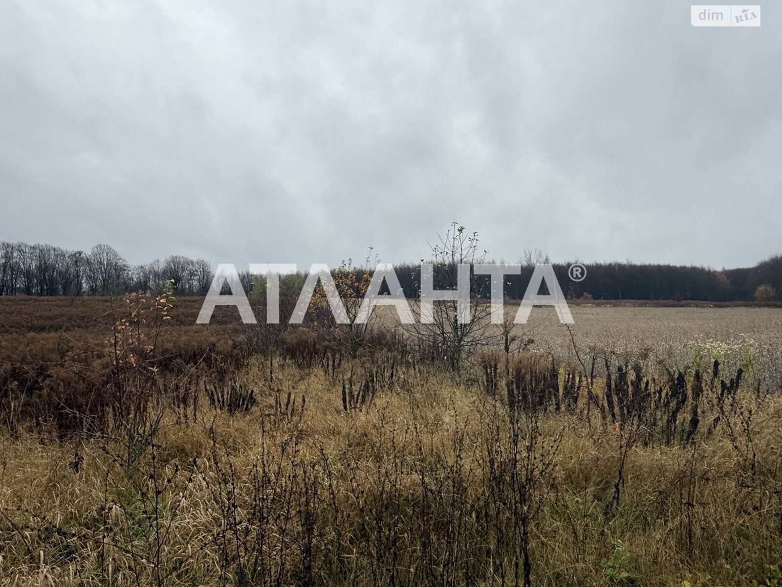 Земельный участок сельскохозяйственного назначения в Якушинцах, площадь 26.67 сотки фото 1