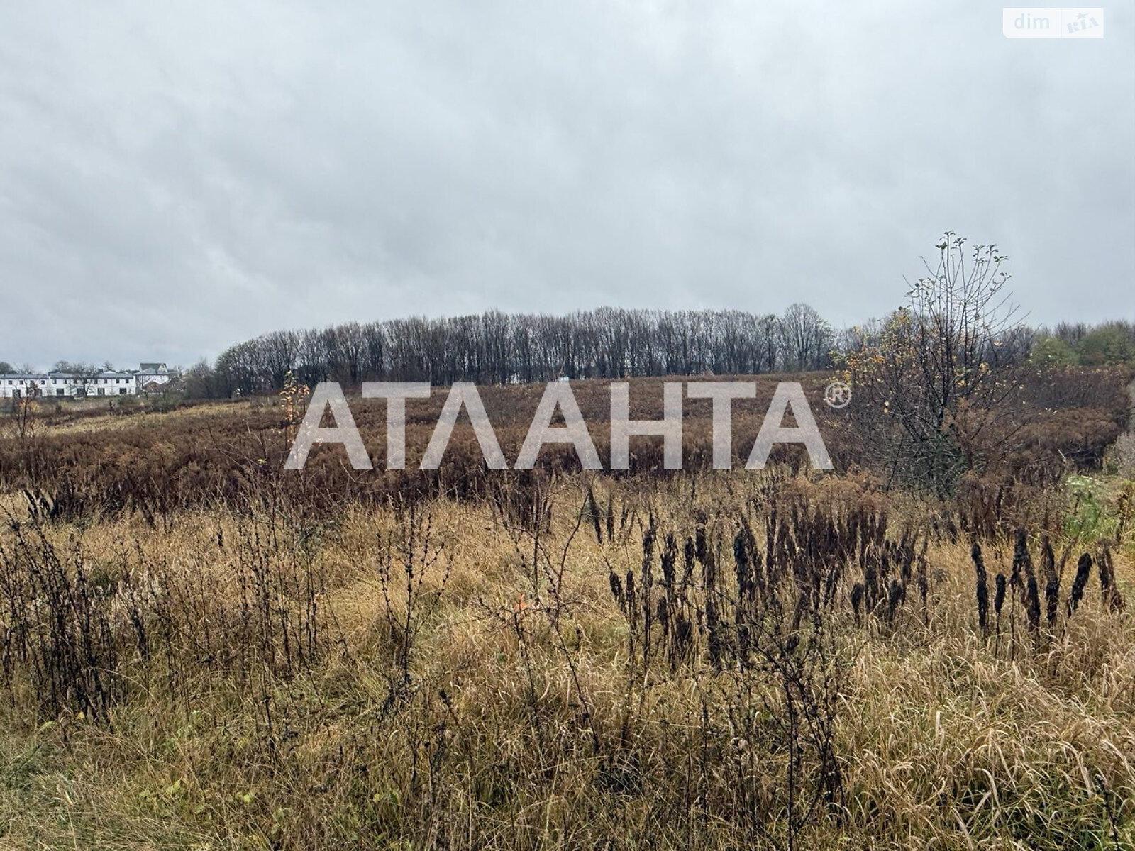 Земельный участок сельскохозяйственного назначения в Якушинцах, площадь 26.67 сотки фото 1