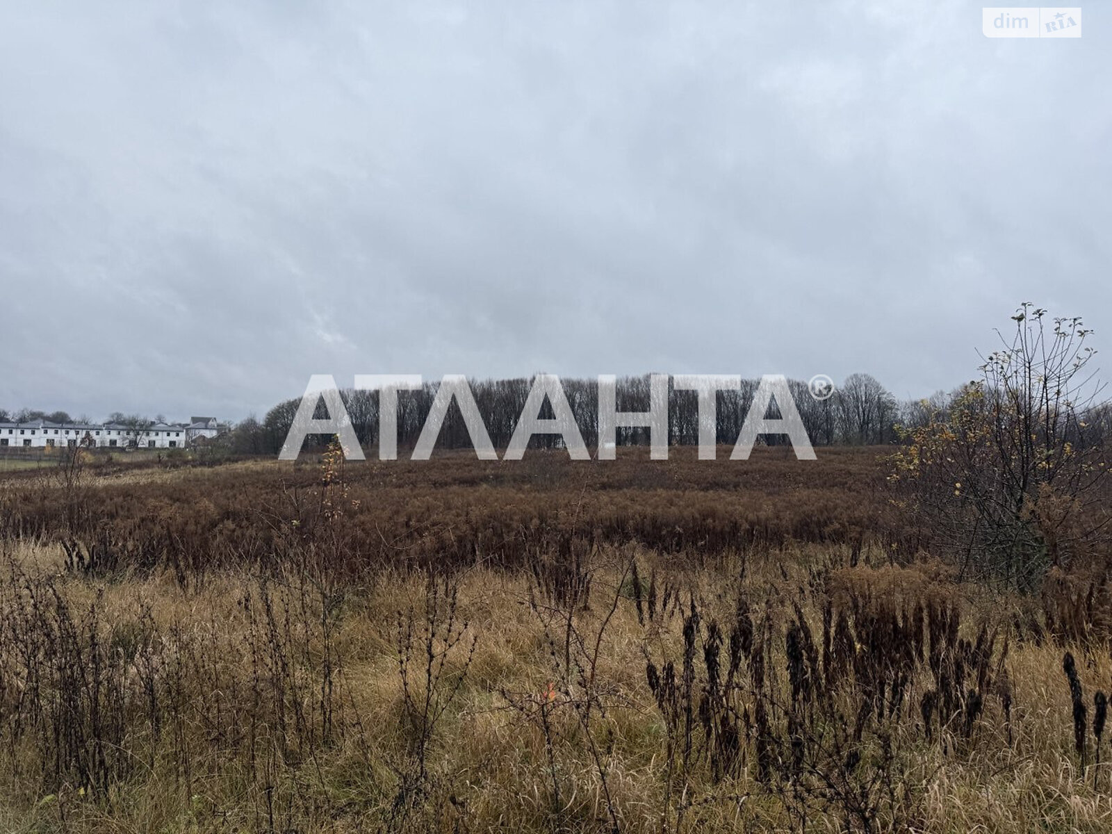Земельный участок сельскохозяйственного назначения в Якушинцах, площадь 26.67 сотки фото 1