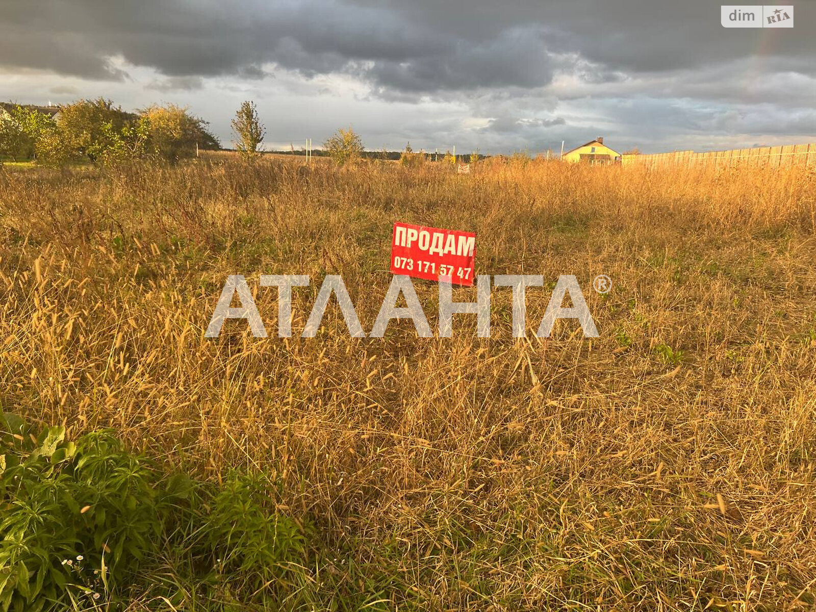 Земельный участок сельскохозяйственного назначения в Якушинцах, площадь 10 соток фото 1 Земельный участок сельскохозяйственного назначения в Якушинцах, площадь 10 соток фото 1