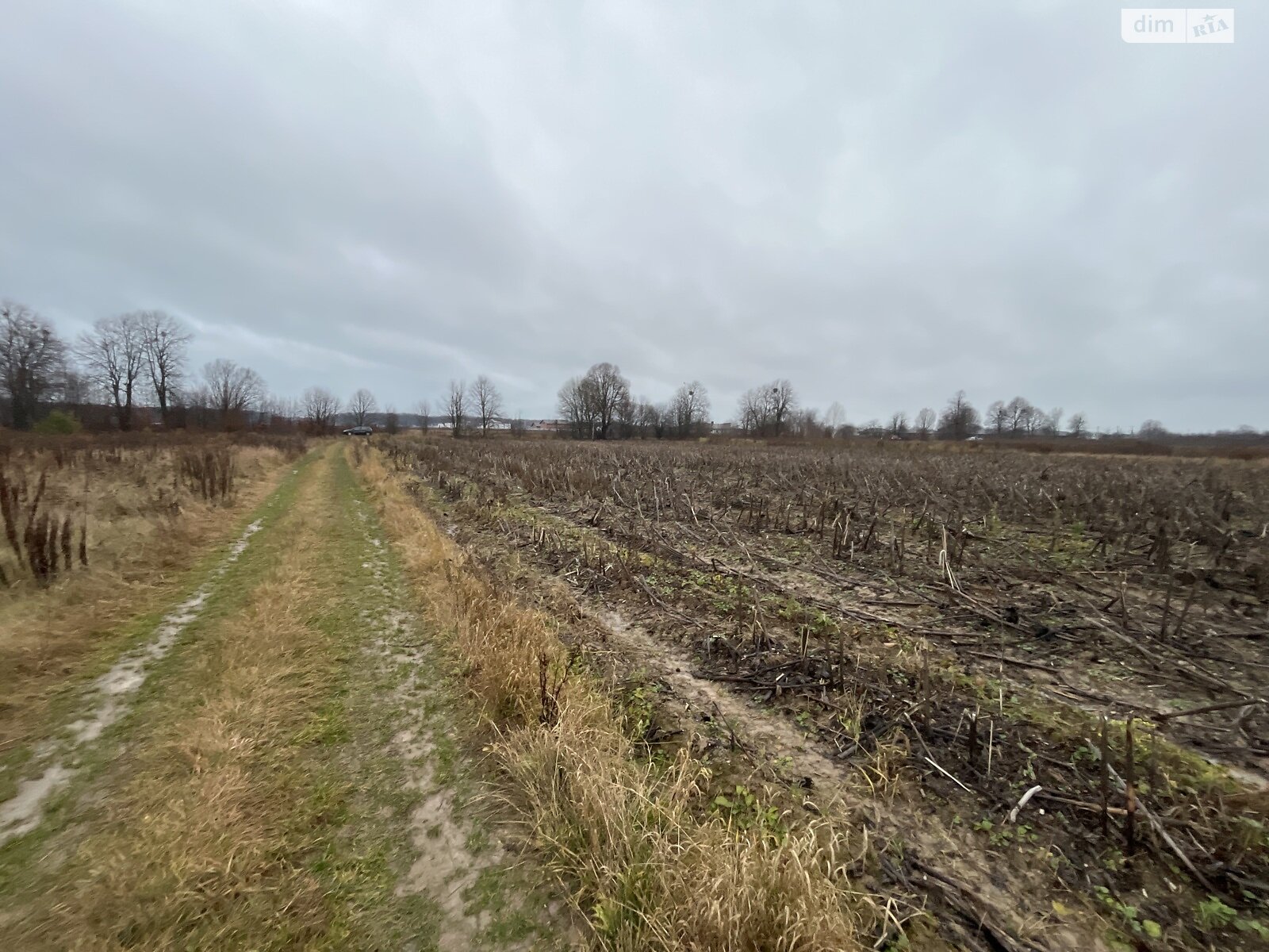 Земельный участок сельскохозяйственного назначения в Якушинцах, площадь 10 соток фото 1