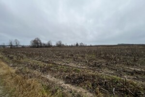 Земельный участок сельскохозяйственного назначения в Якушинцах, площадь 10 соток фото 2