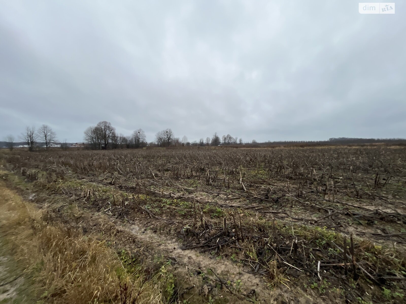 Земельный участок сельскохозяйственного назначения в Якушинцах, площадь 10 соток фото 1