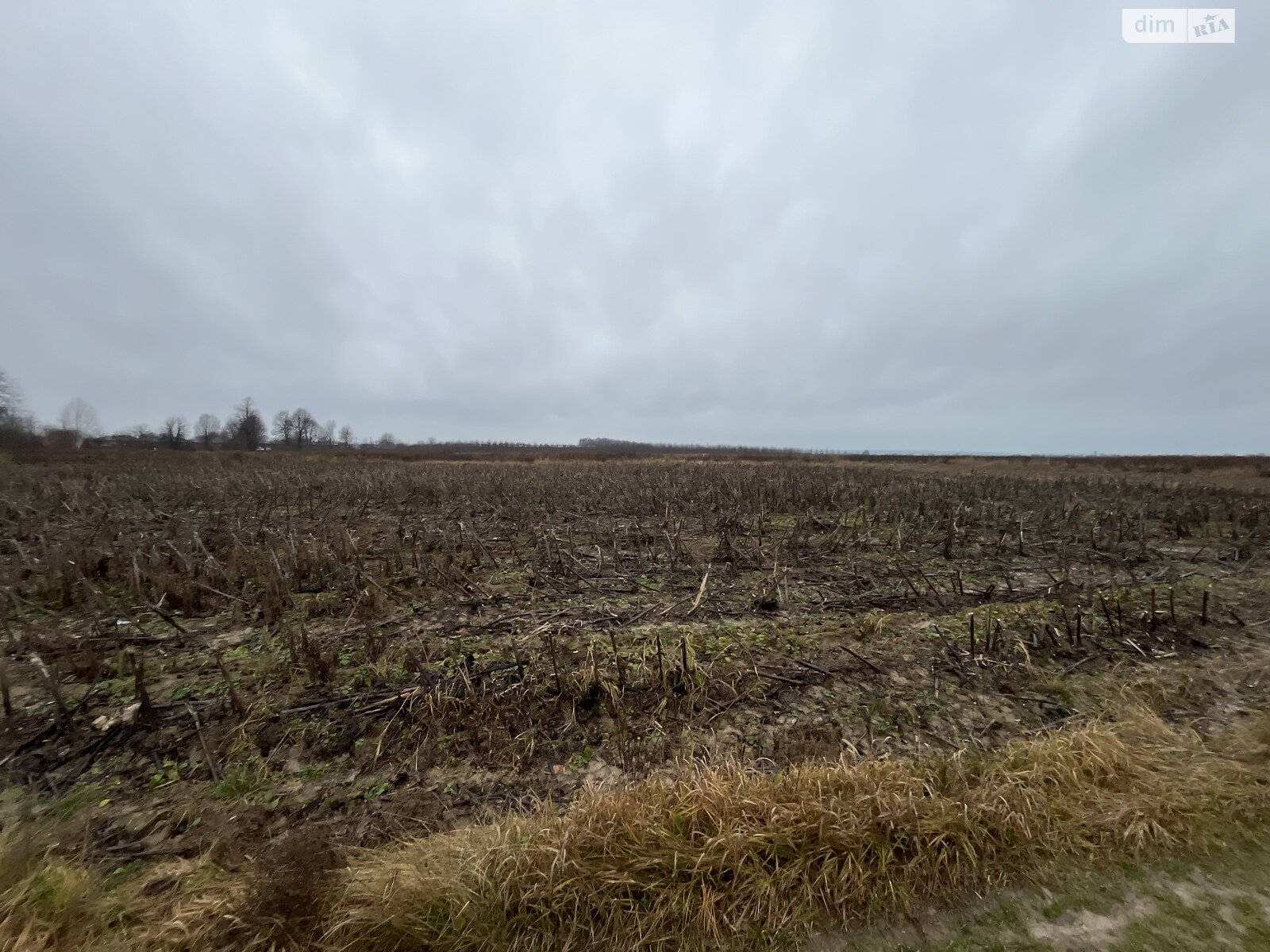 Земельный участок сельскохозяйственного назначения в Якушинцах, площадь 10 соток фото 1