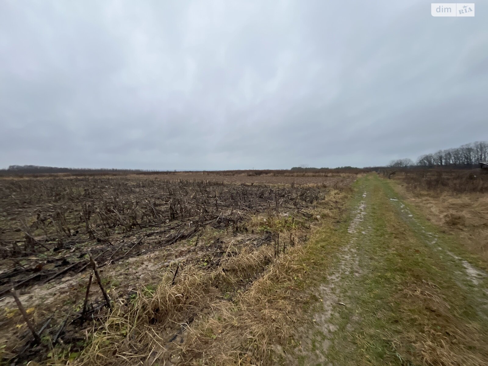 Земельный участок сельскохозяйственного назначения в Якушинцах, площадь 10 соток фото 1
