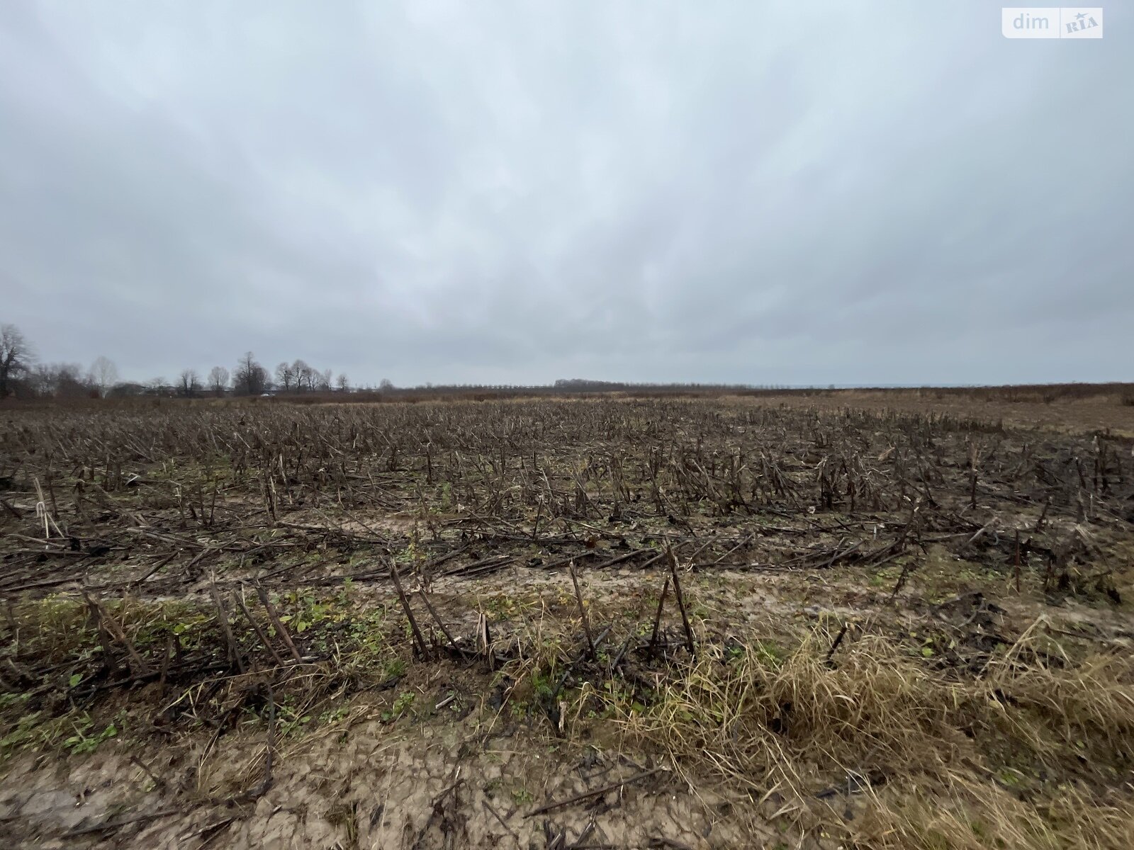 Земельный участок сельскохозяйственного назначения в Якушинцах, площадь 10 соток фото 1