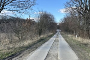Земельна ділянка сільськогосподарського призначення в Якушинцях, площа 10 соток фото 2