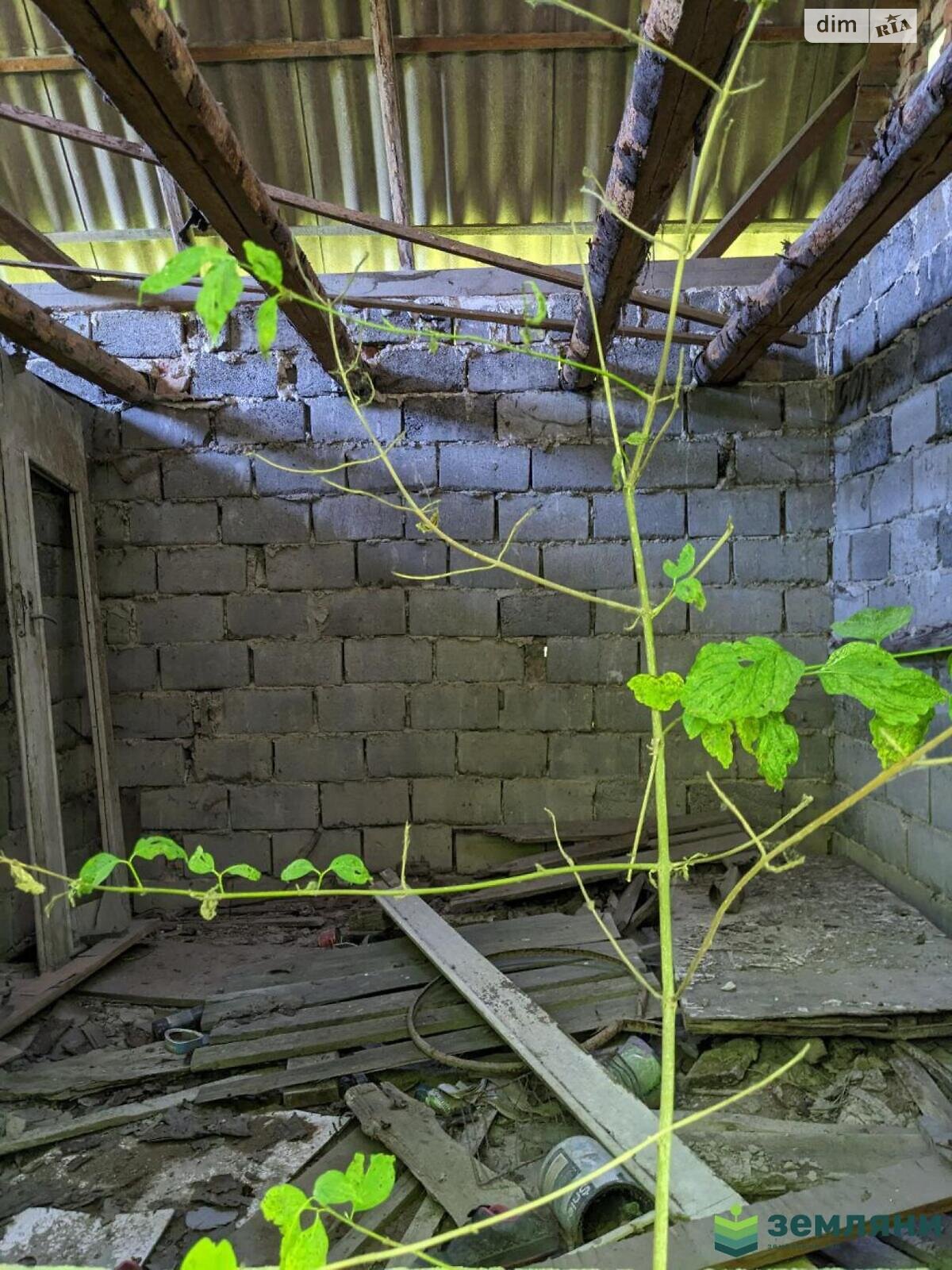 Земельный участок сельскохозяйственного назначения в Ямнице, площадь 4.89 сотки фото 1