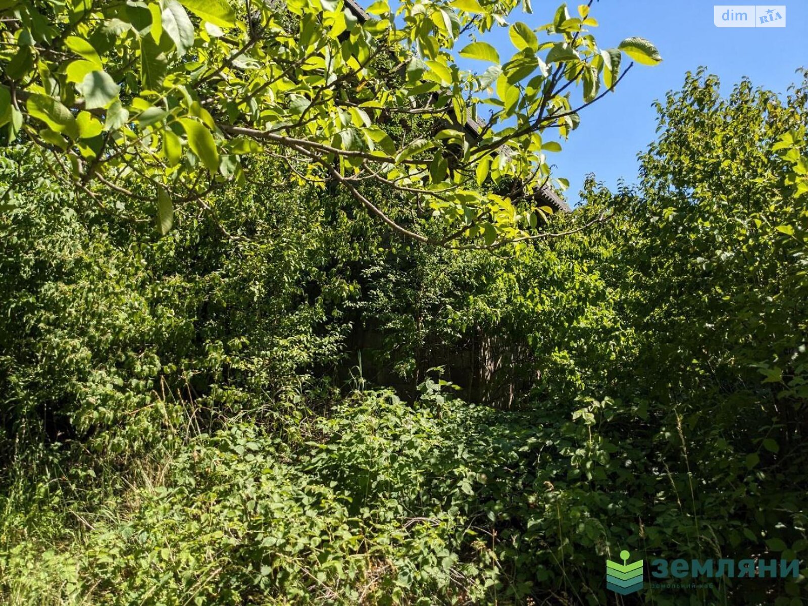 Земельный участок сельскохозяйственного назначения в Ямнице, площадь 4.89 сотки фото 1