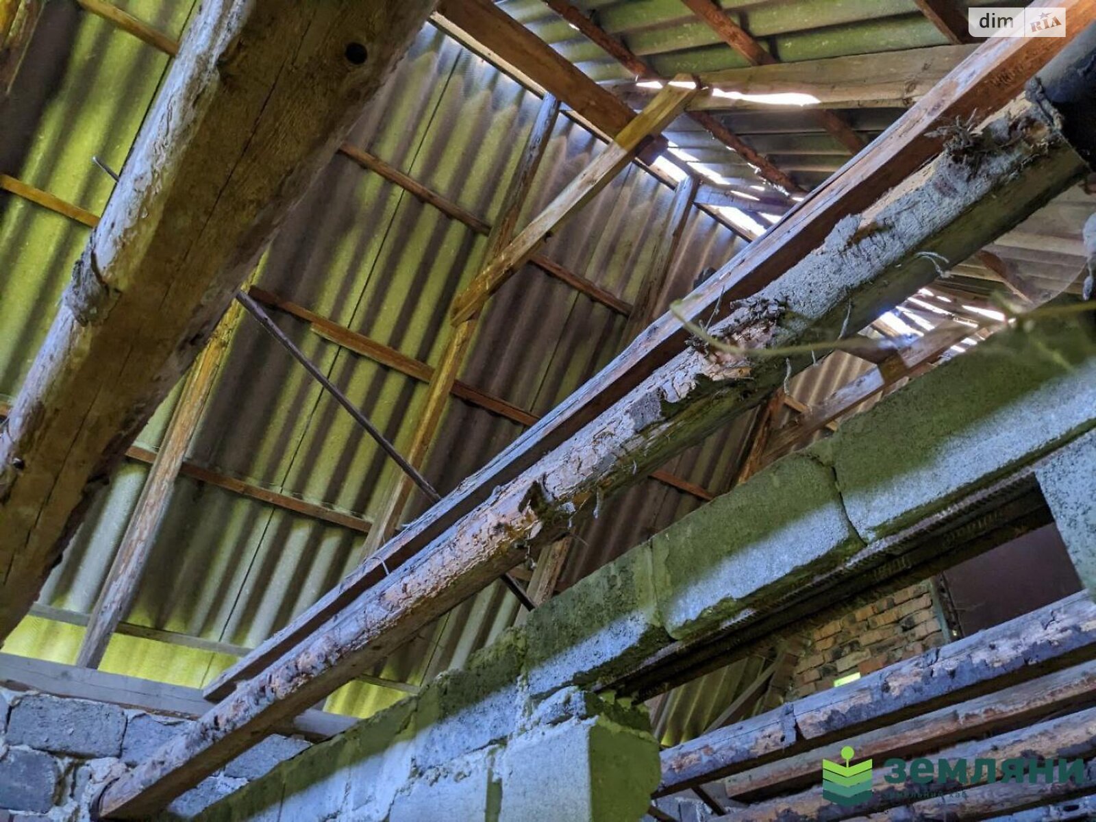 Земельный участок сельскохозяйственного назначения в Ямнице, площадь 4.89 сотки фото 1