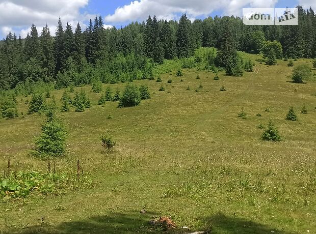 Земельный участок сельскохозяйственного назначения в Ворохте, площадь 1 Га фото 1 Земельный участок сельскохозяйственного назначения в Ворохте, площадь 1 Га фото 1