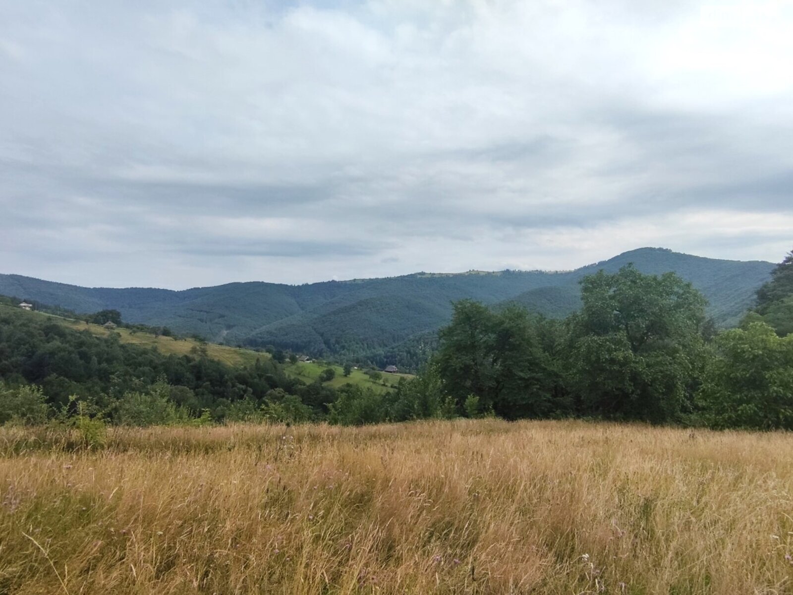 Земля сільськогосподарського призначення в Яремчі, район Яремче, площа 76.14 сотки фото 1 Земля сільськогосподарського призначення в Яремчі, район Яремче, площа 76.14 сотки фото 1