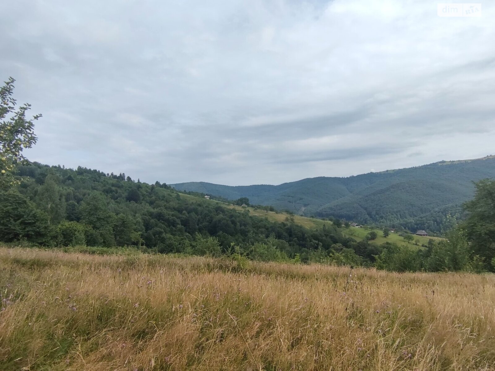 Земля сільськогосподарського призначення в Яремчі, район Яремче, площа 76.14 сотки фото 1 Земля сільськогосподарського призначення в Яремчі, район Яремче, площа 76.14 сотки фото 1