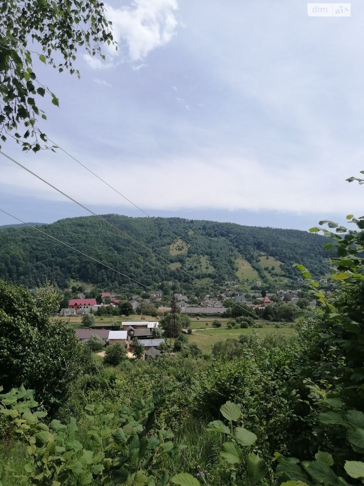 Земля сельскохозяйственного назначения в Яремче, район Яремче, площадь 51 сотка фото 1